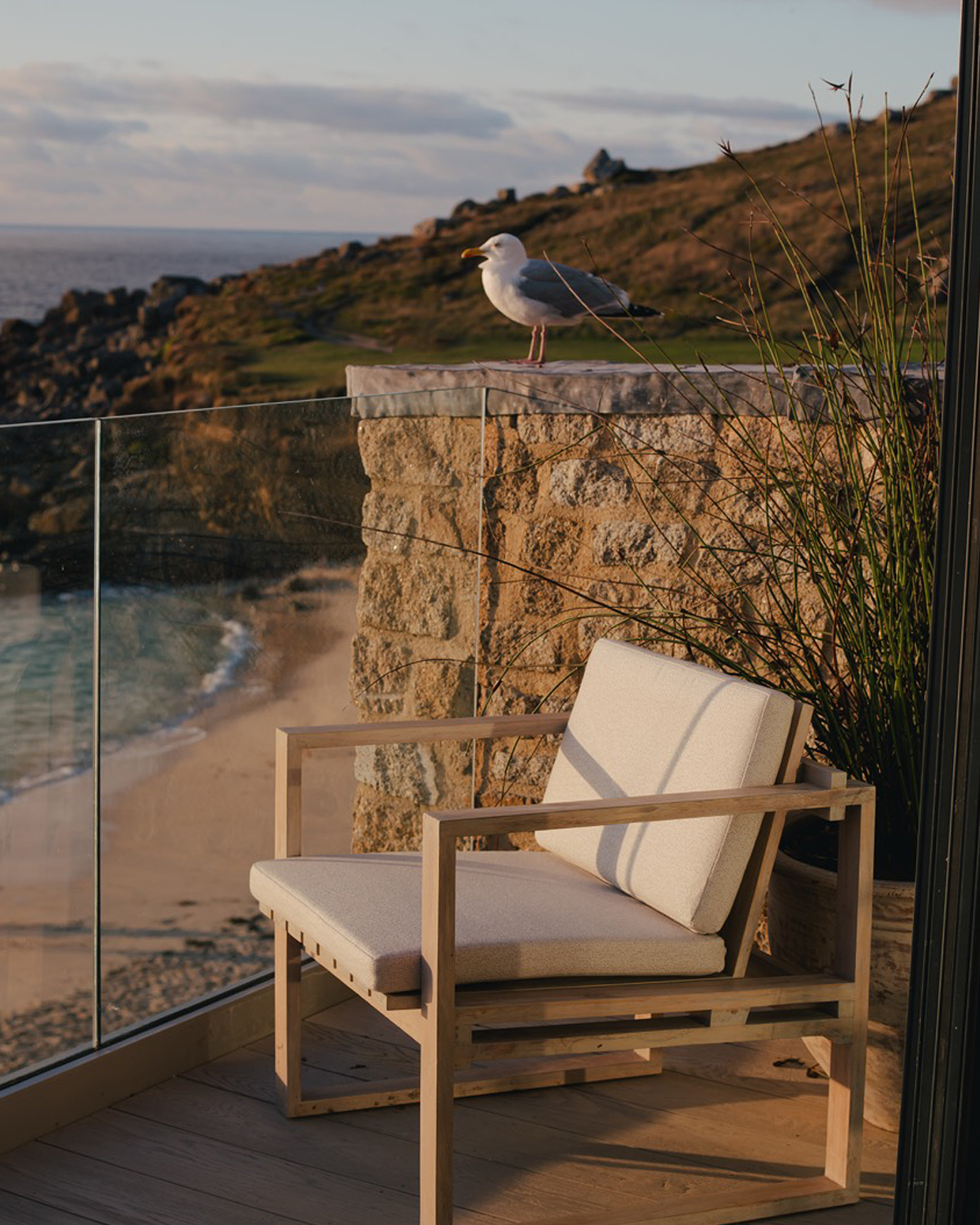 terrasse vue mer avec mouette terrasse vue mer avec mouette