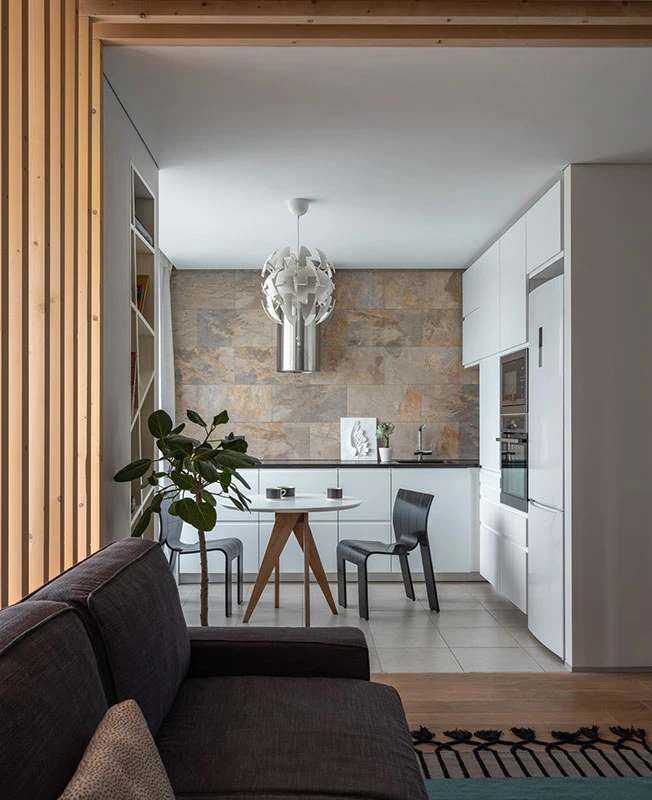 cuisine et salon appartement 39m2 décoration contemporaine