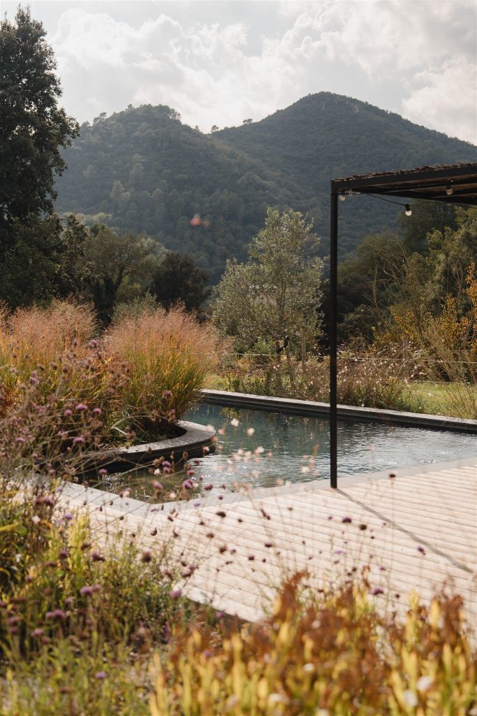piscine avec pergola entourée de verdure piscine avec pergola entourée de verdure