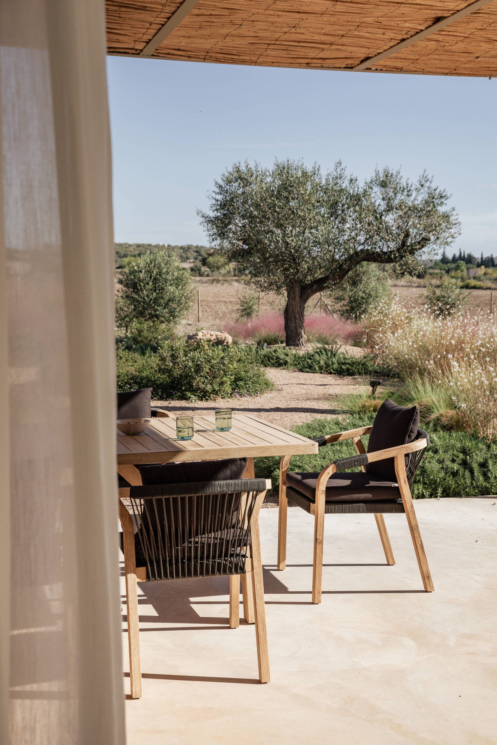 terrasse dans jardin avec olivier maison contemporaine en pierres Majorque terrasse dans jardin avec olivier maison contemporaine en pierres Majorque