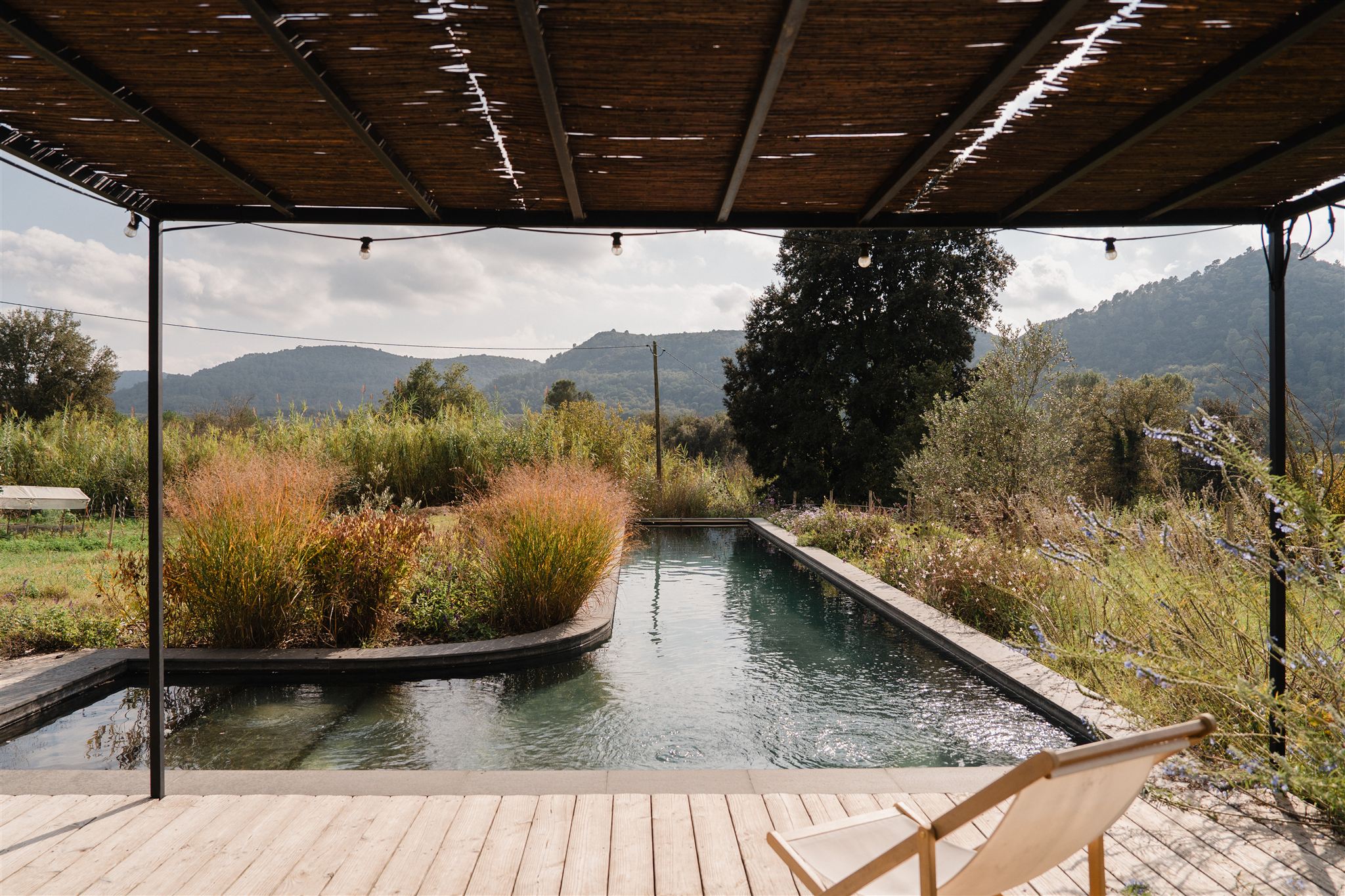 piscine avec pergola entourée de verdure piscine avec pergola entourée de verdure