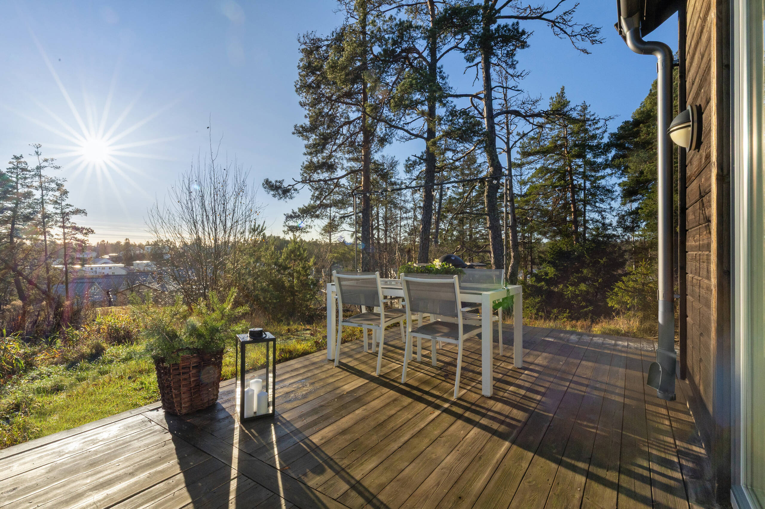 terrasse mini maison moderne en bois 22m2