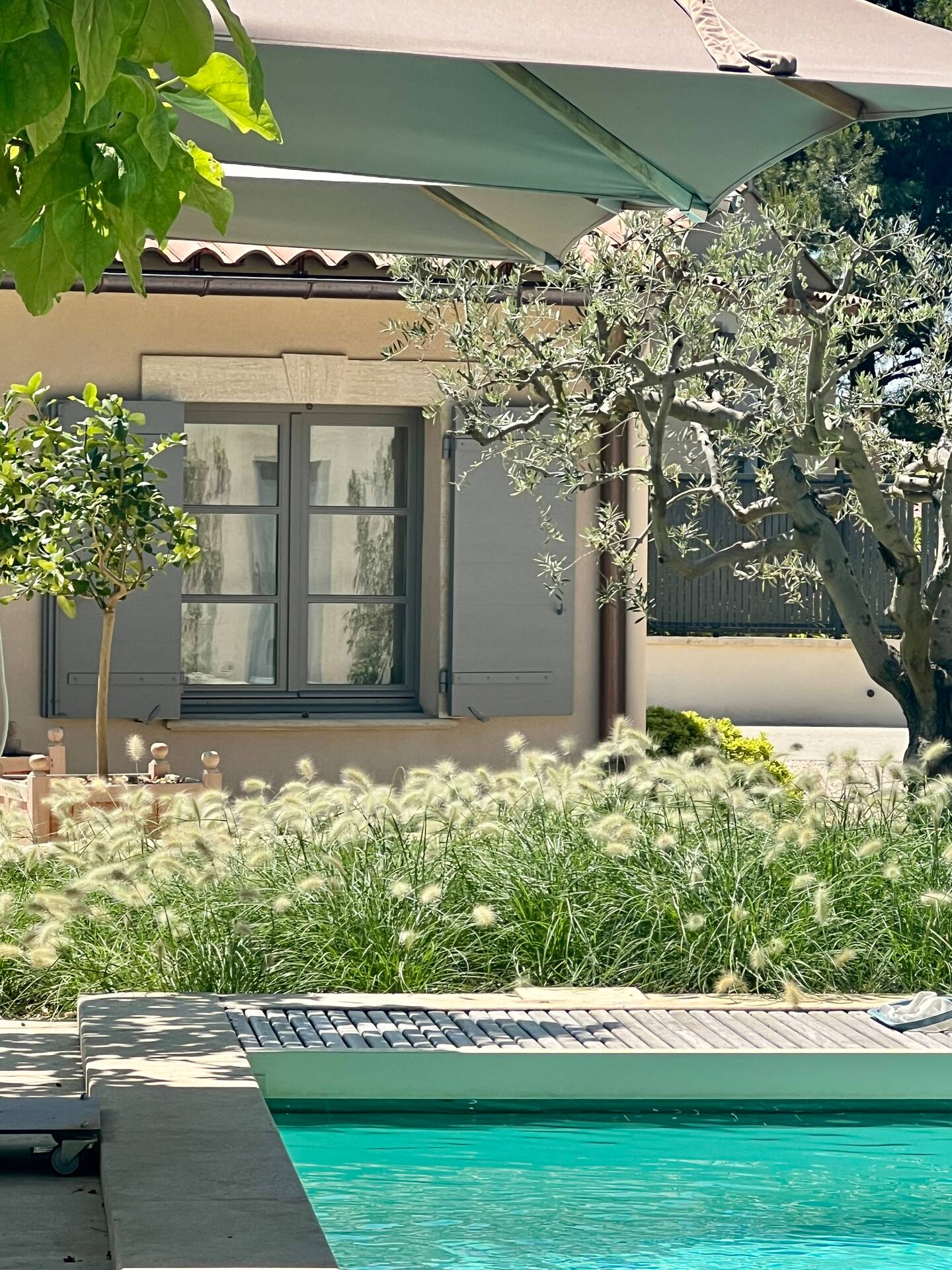 jardin avec piscine jardin avec piscine
