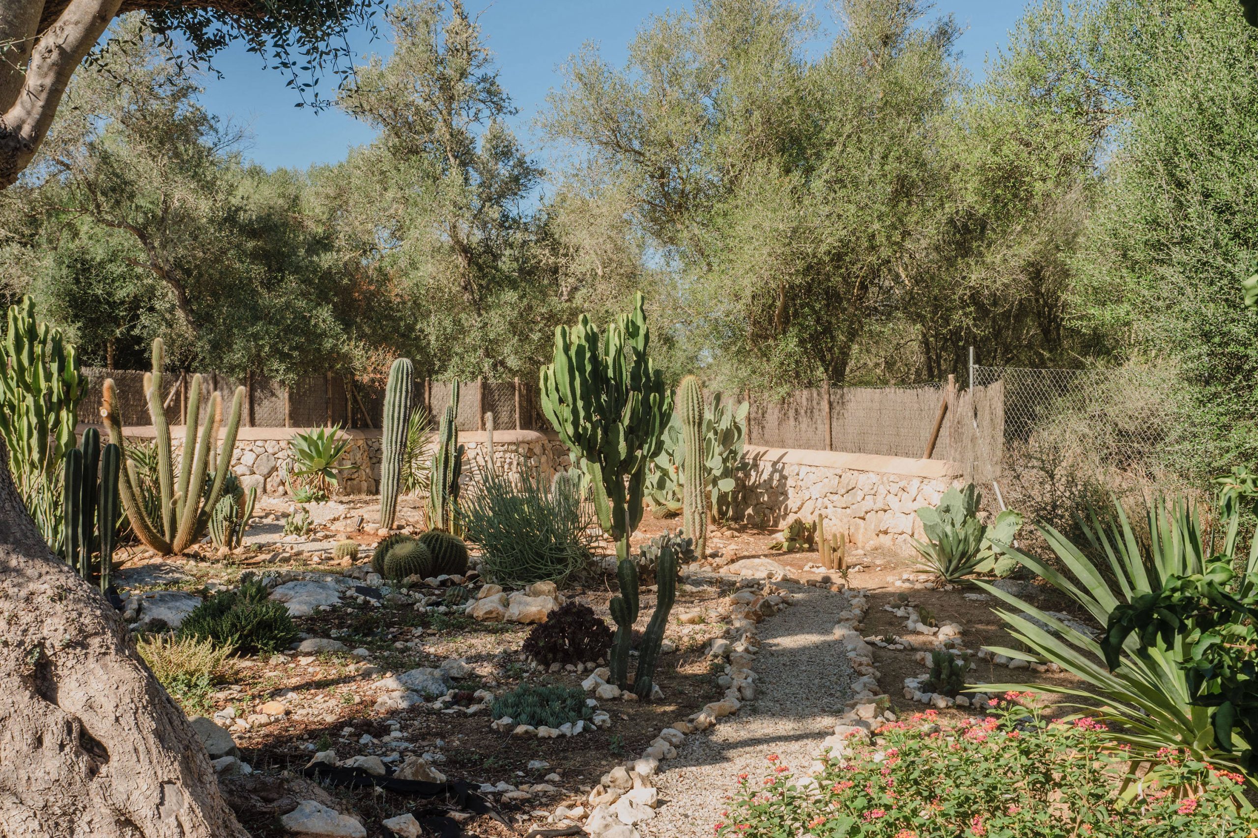 jardin sec jardin sec