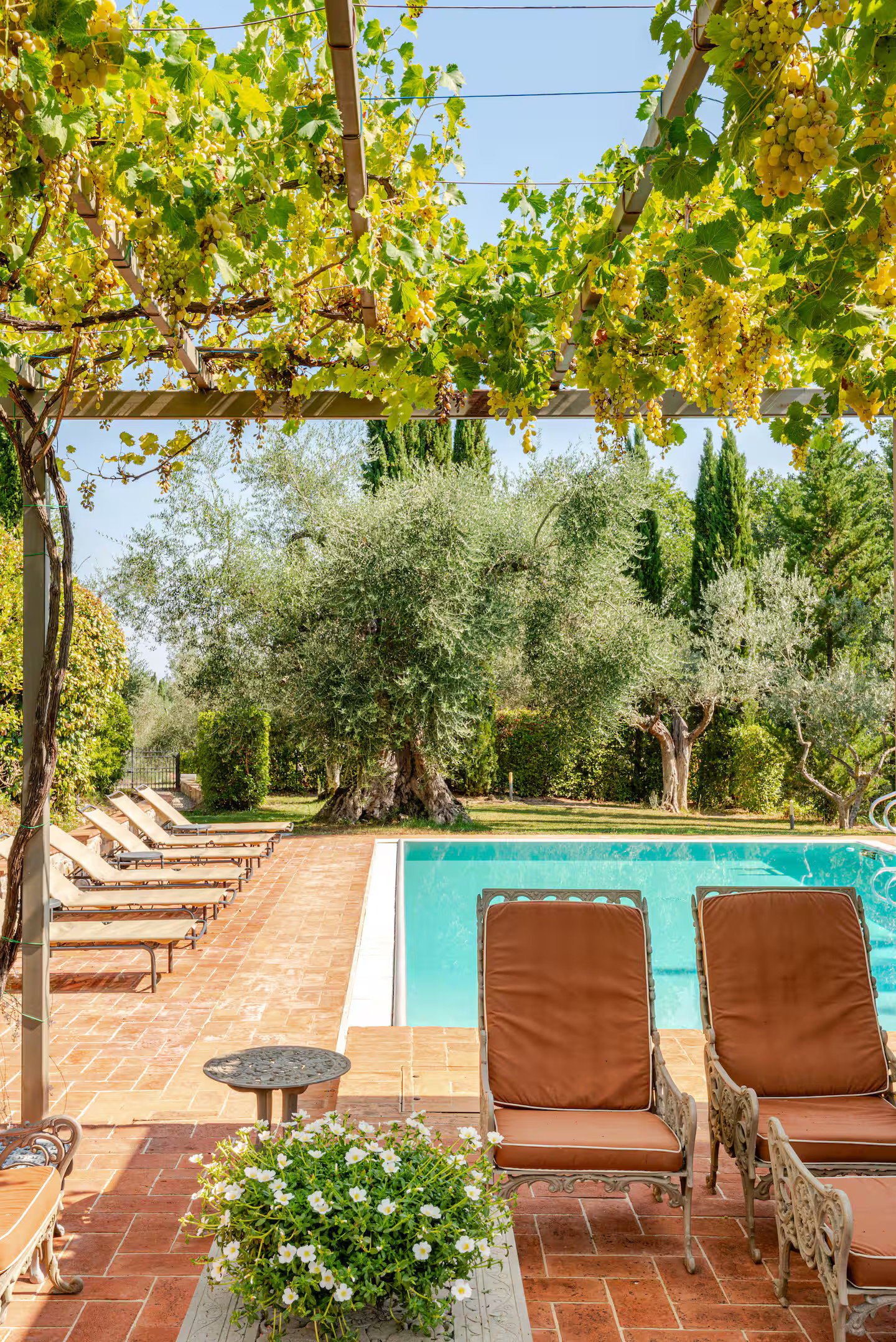 terrasse avec pergola métal et piscine terrasse avec pergola métal et piscine