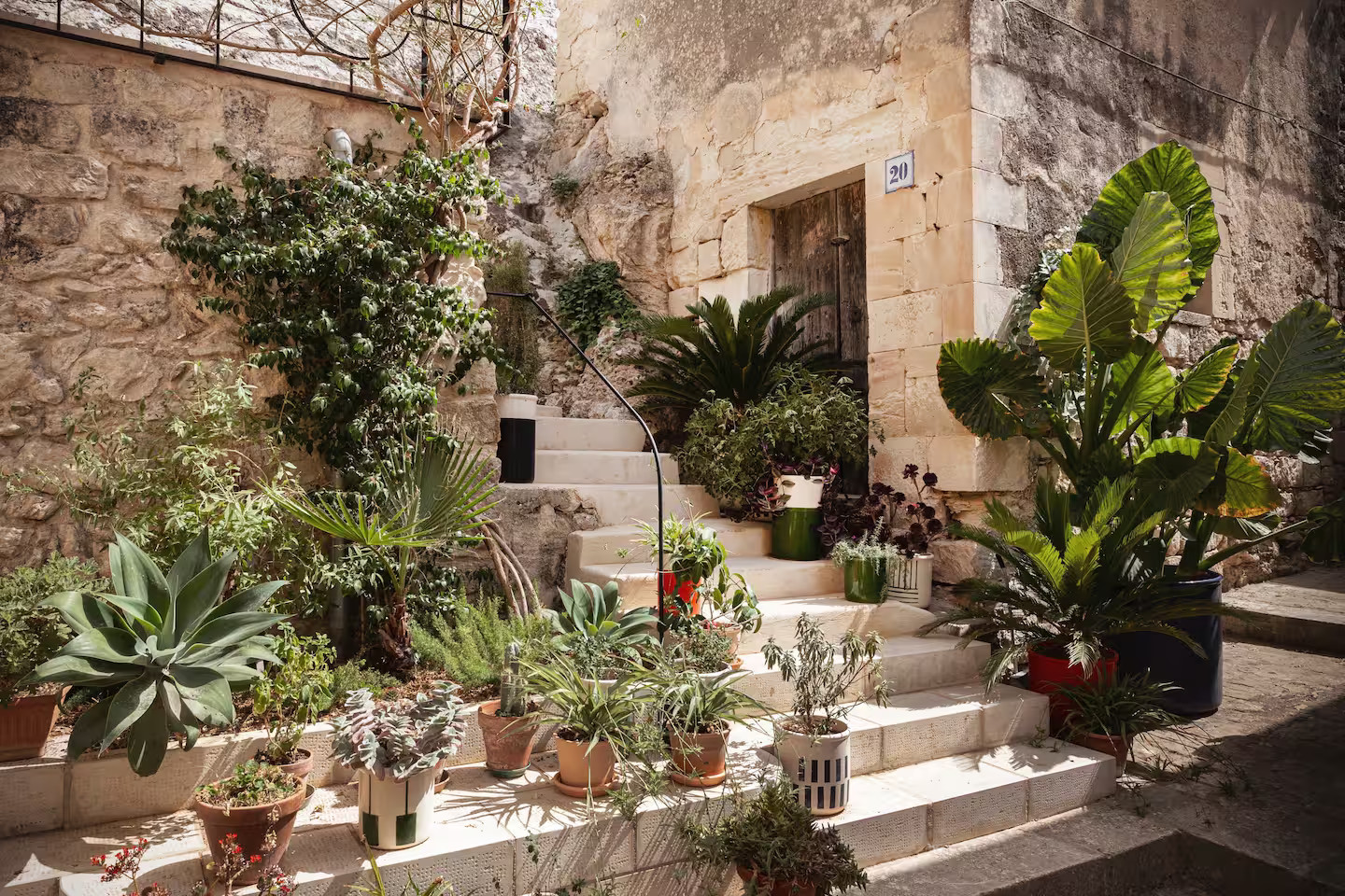 jardin Maison Hortus Modica Sicile jardin Maison Hortus Modica Sicile