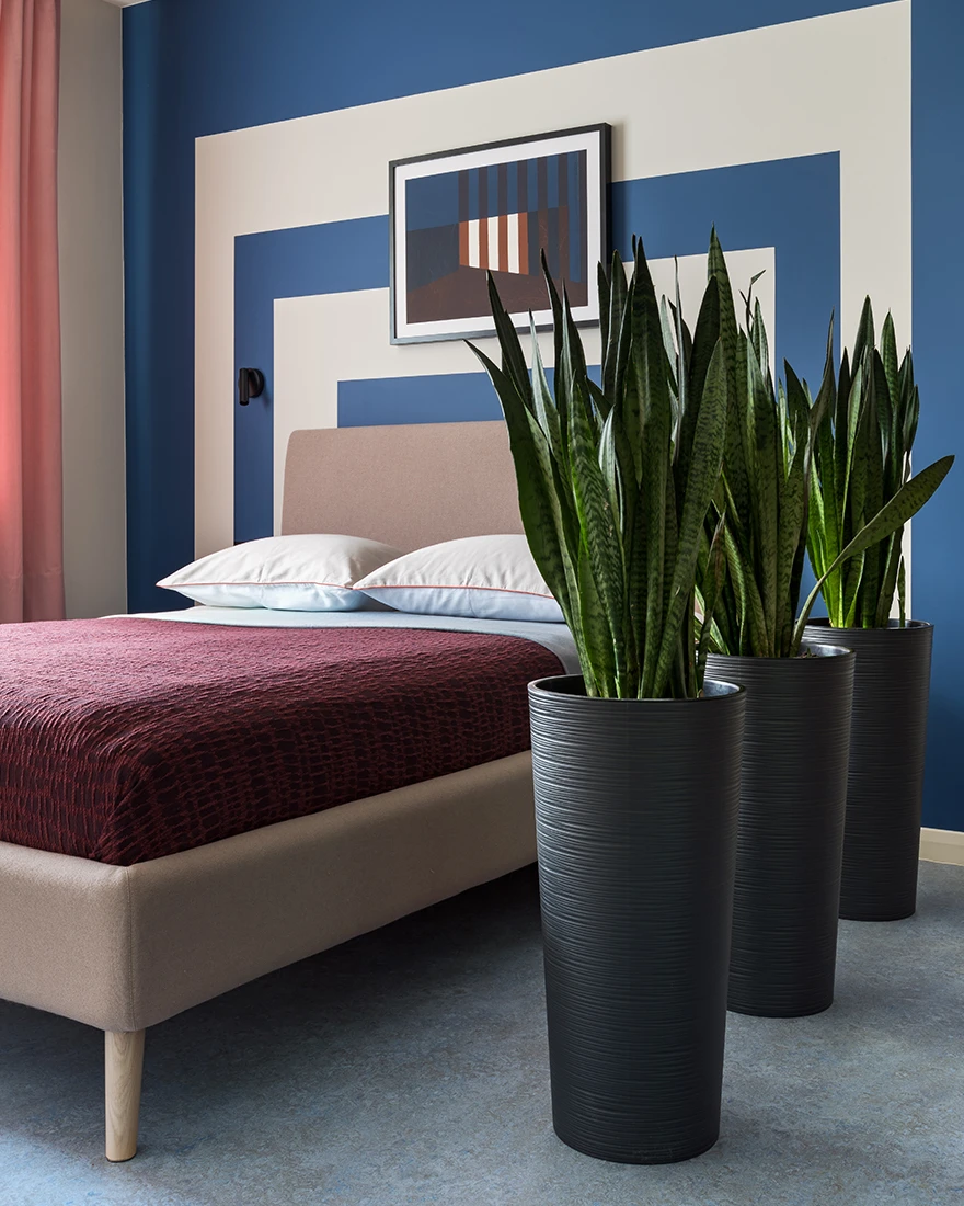 chambre appartement 36m2 color block chambre appartement 36m2 color block