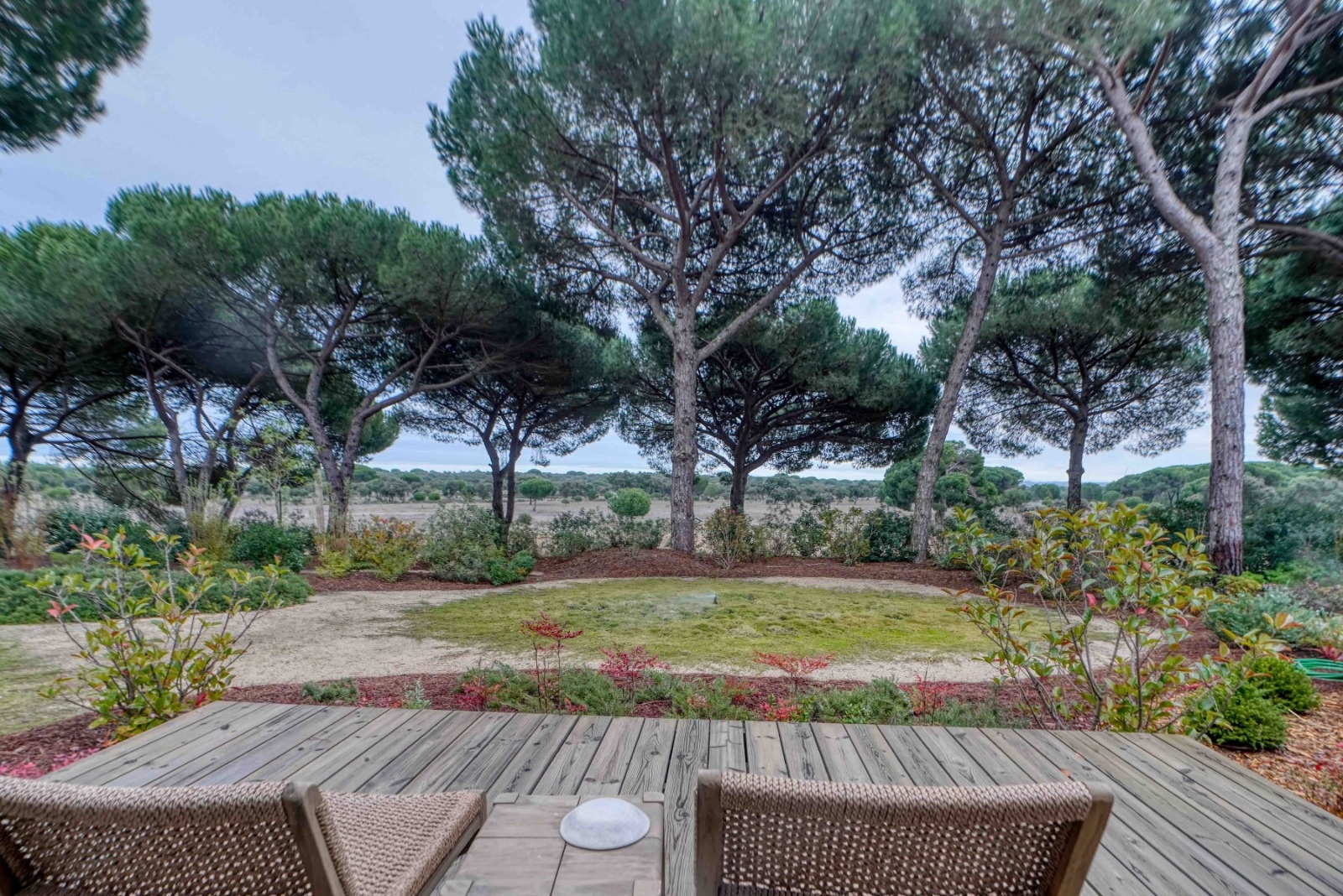 terrasse vue pins maison contemporaine avec piscine Comporta terrasse vue pins maison contemporaine avec piscine Comporta