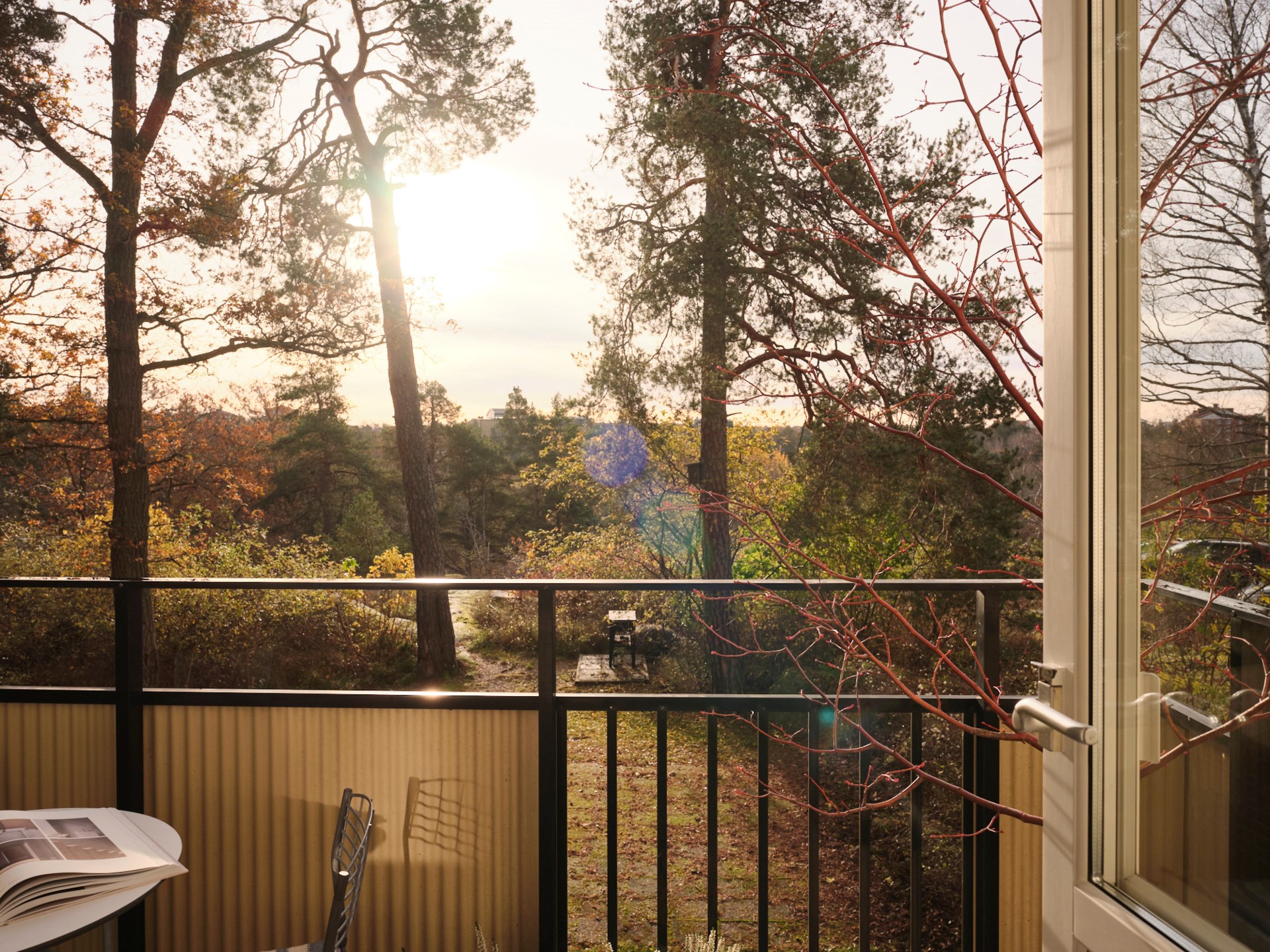 terrasse avec vue sur arbres et nature terrasse avec vue sur arbres et nature