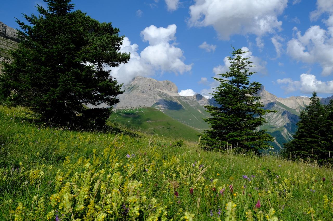 paysage Vercors paysage Vercors