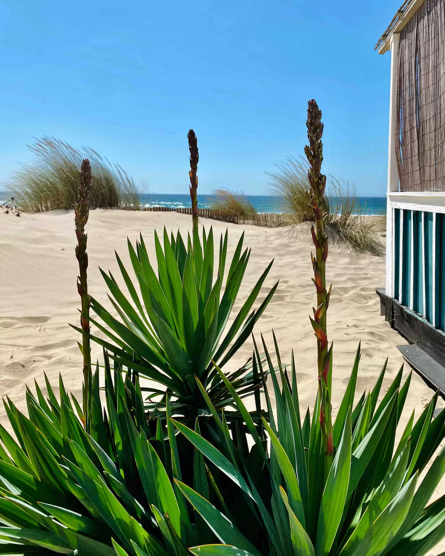 ancienne maison de pêcheur rénovée sur la plage Portugal Cabana Zojora ancienne maison de pêcheur rénovée sur la plage Portugal Cabana Zojora