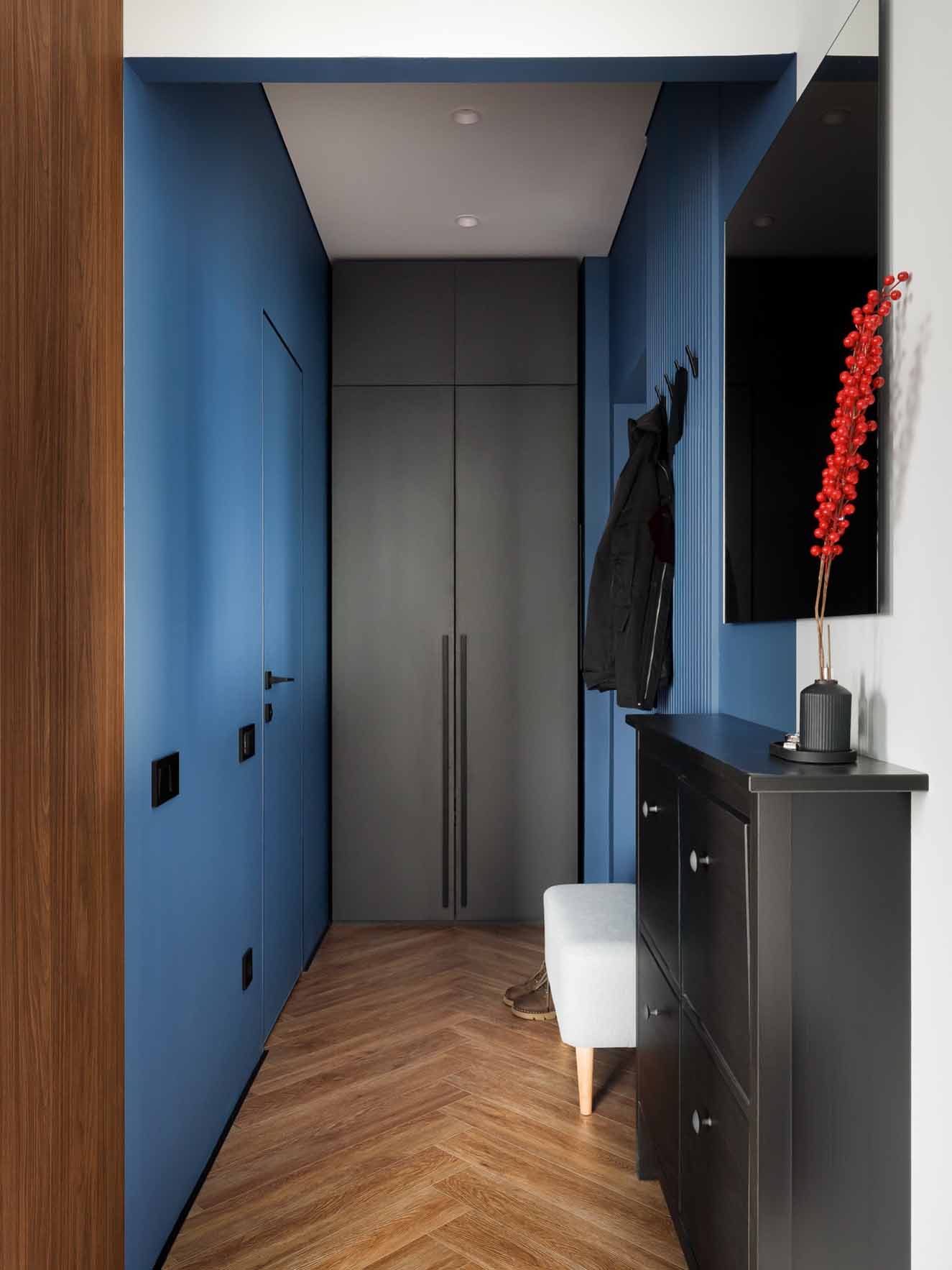 entrée bleue avec placard studio 27m2
