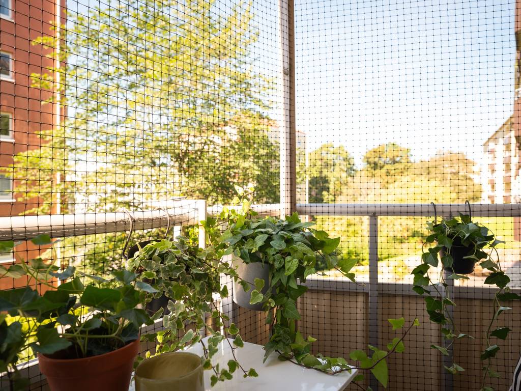 balcon avec filet de protection pour chat