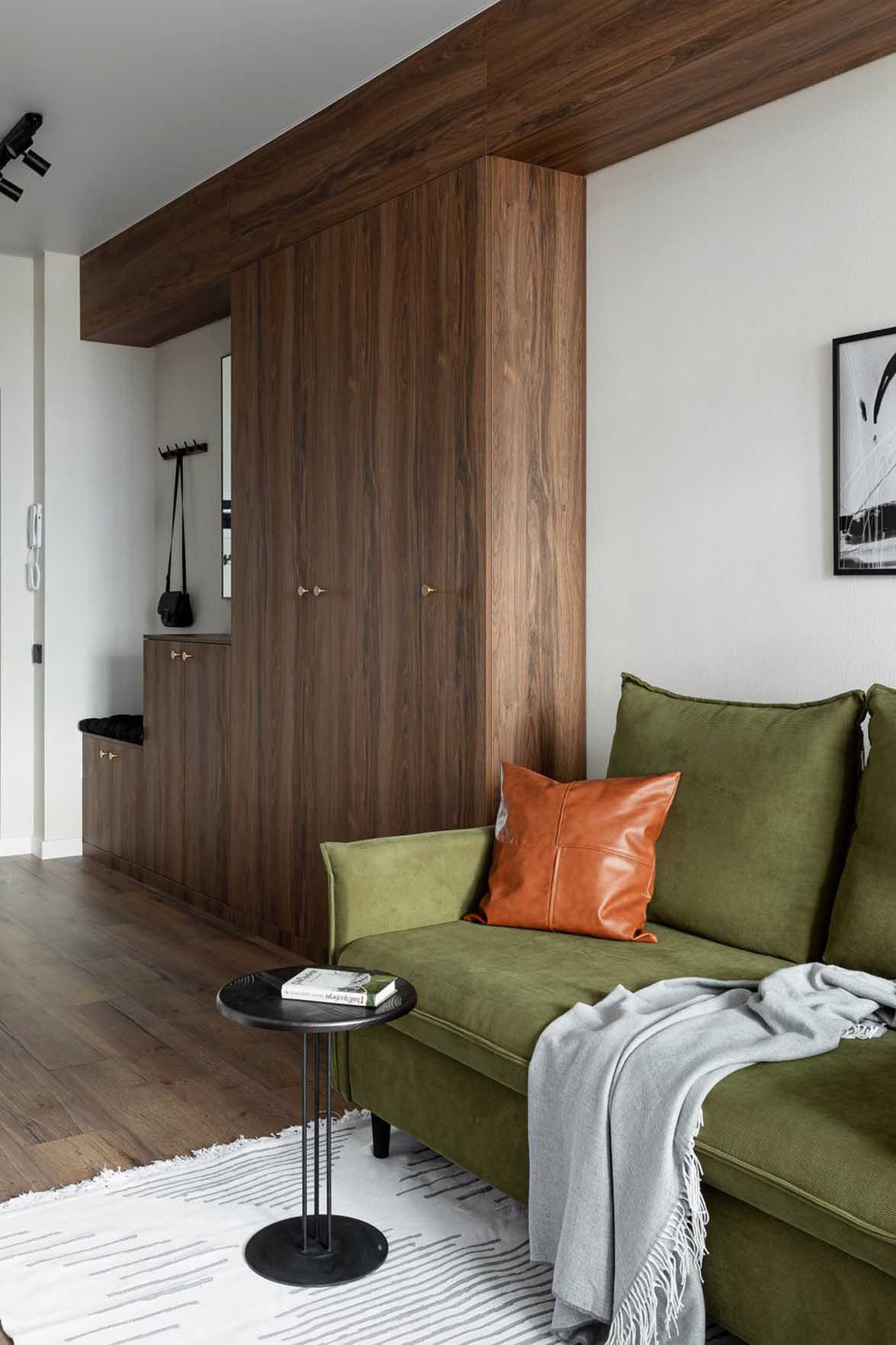 salon et rangement entrée en noyer décoration contemporaine studio de 31m2 optimisé salon et rangement entrée en noyer décoration contemporaine studio de 31m2 optimisé