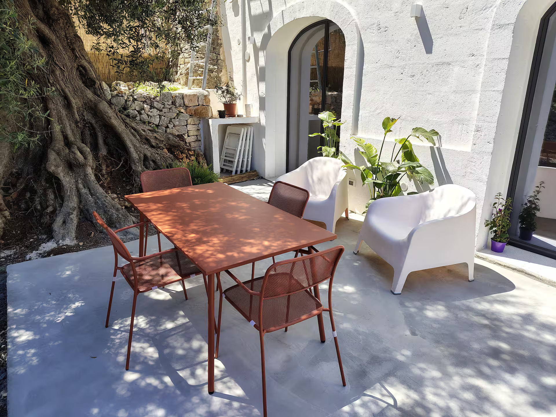 terrasse avec olivier centenaire maison Pouilles Casa Lama Monopoli