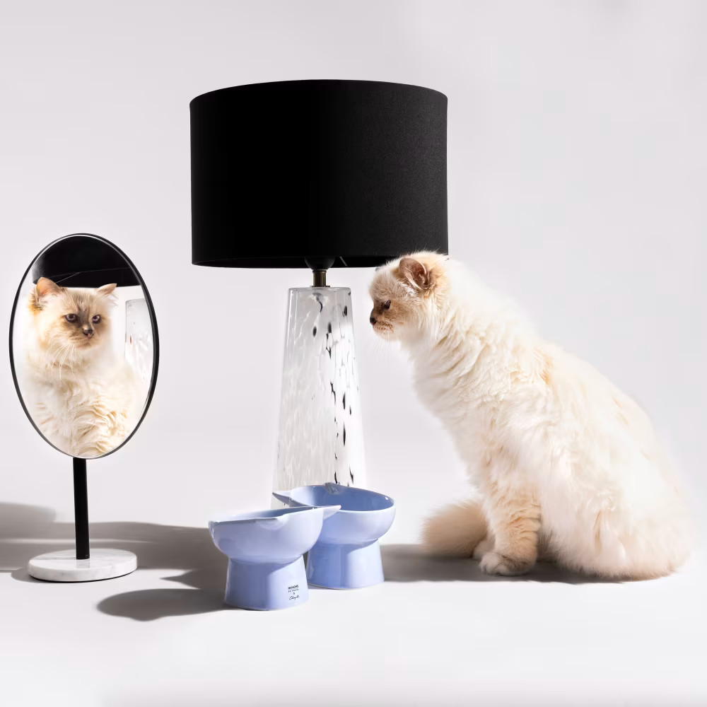 collaboration Choupette X Maisons du Monde catalogue 2026 collaboration Choupette X Maisons du Monde catalogue 2026