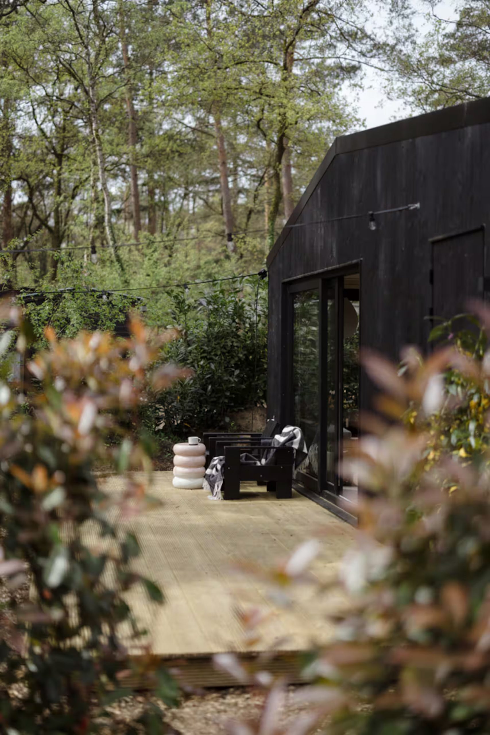 petite maison intérieur design avec terrasse bois entourée d petite maison intérieur design avec terrasse bois entourée d'arbres