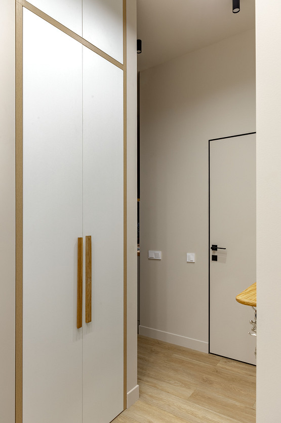 entrée avec placards décoration contemporaine appartement étudiant de 37m2