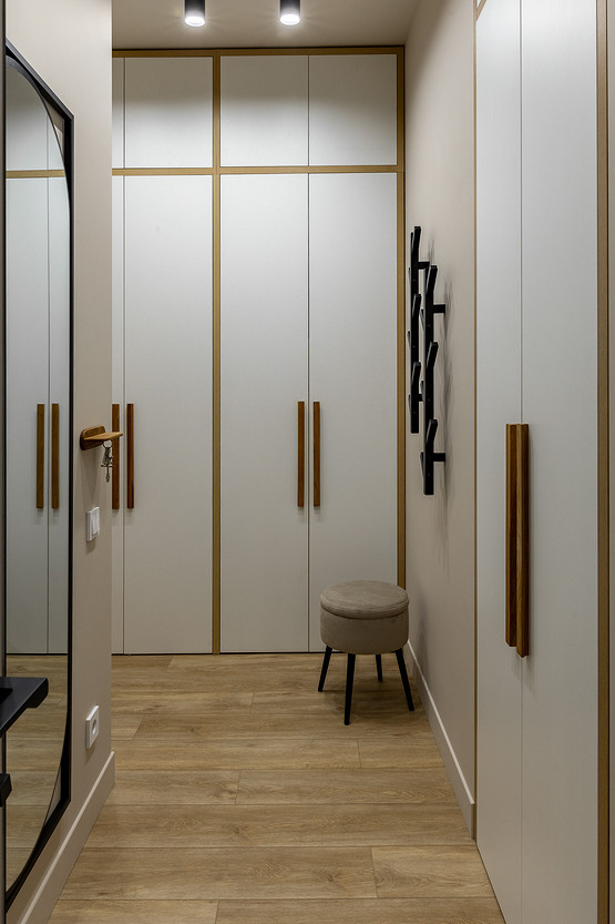 entrée avec placards décoration contemporaine appartement étudiant de 37m2