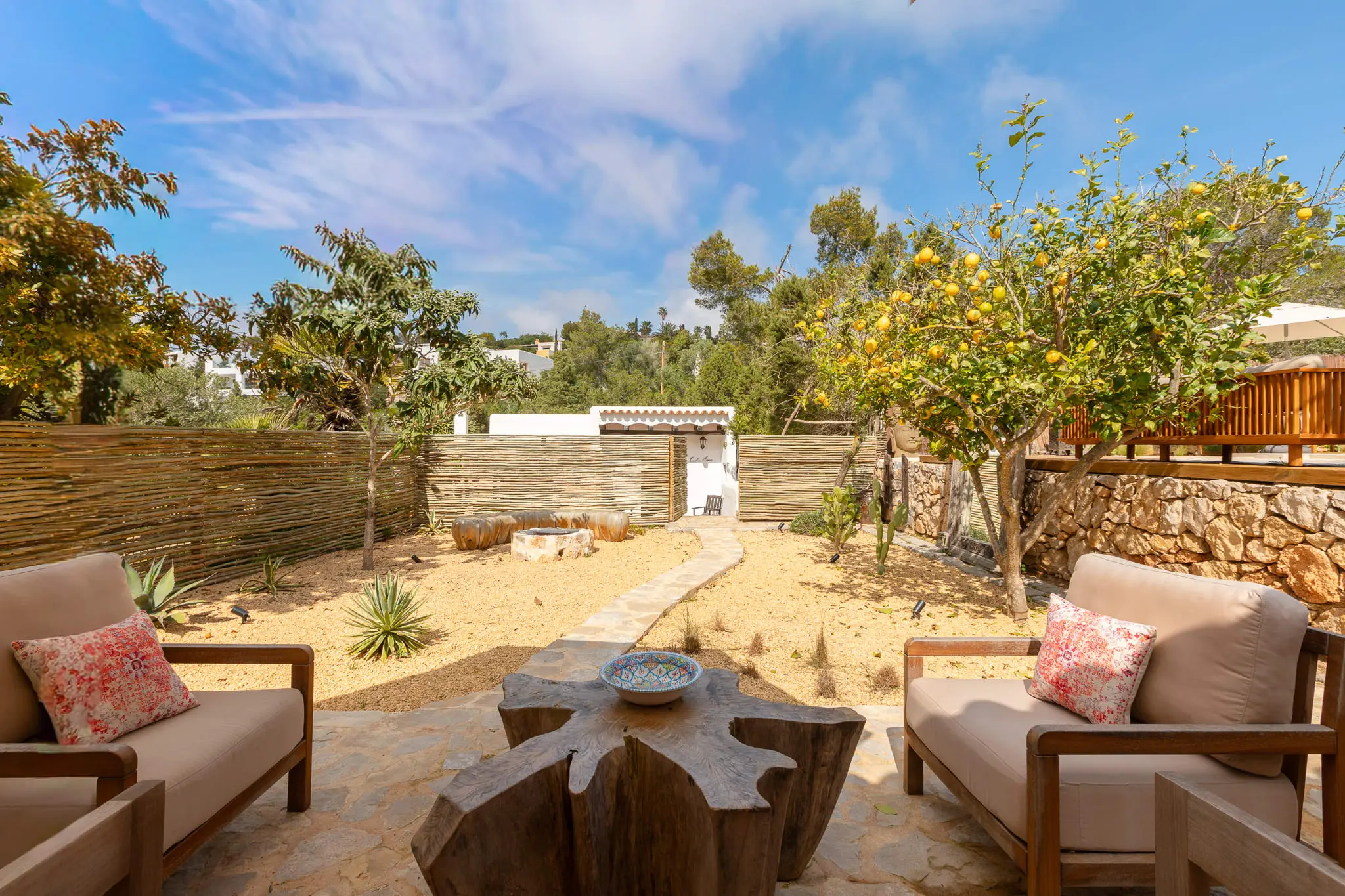 jardin sec avec citronnier jardin sec avec citronnier