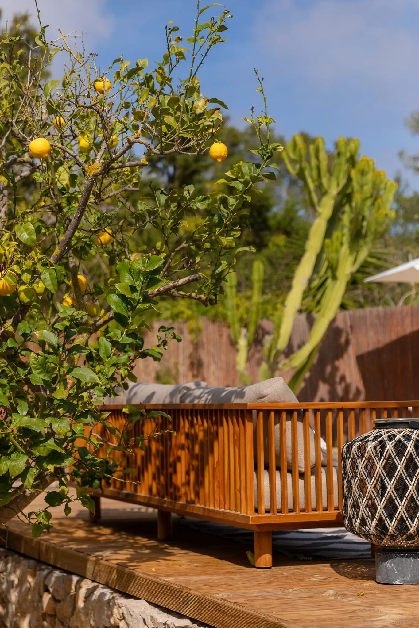 citronnier et terrasse bois citronnier et terrasse bois