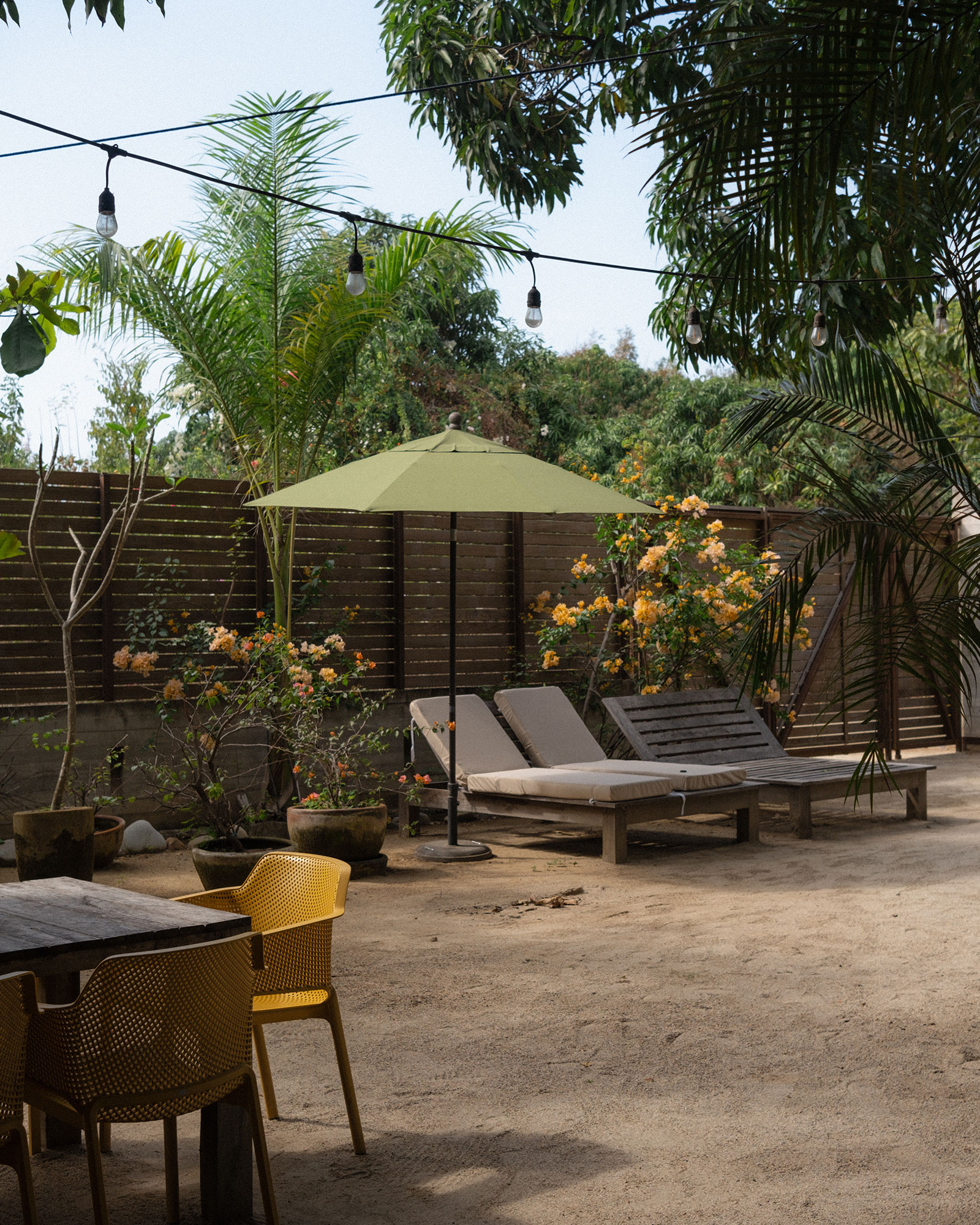 jardin avec clôture bois jardin avec clôture bois