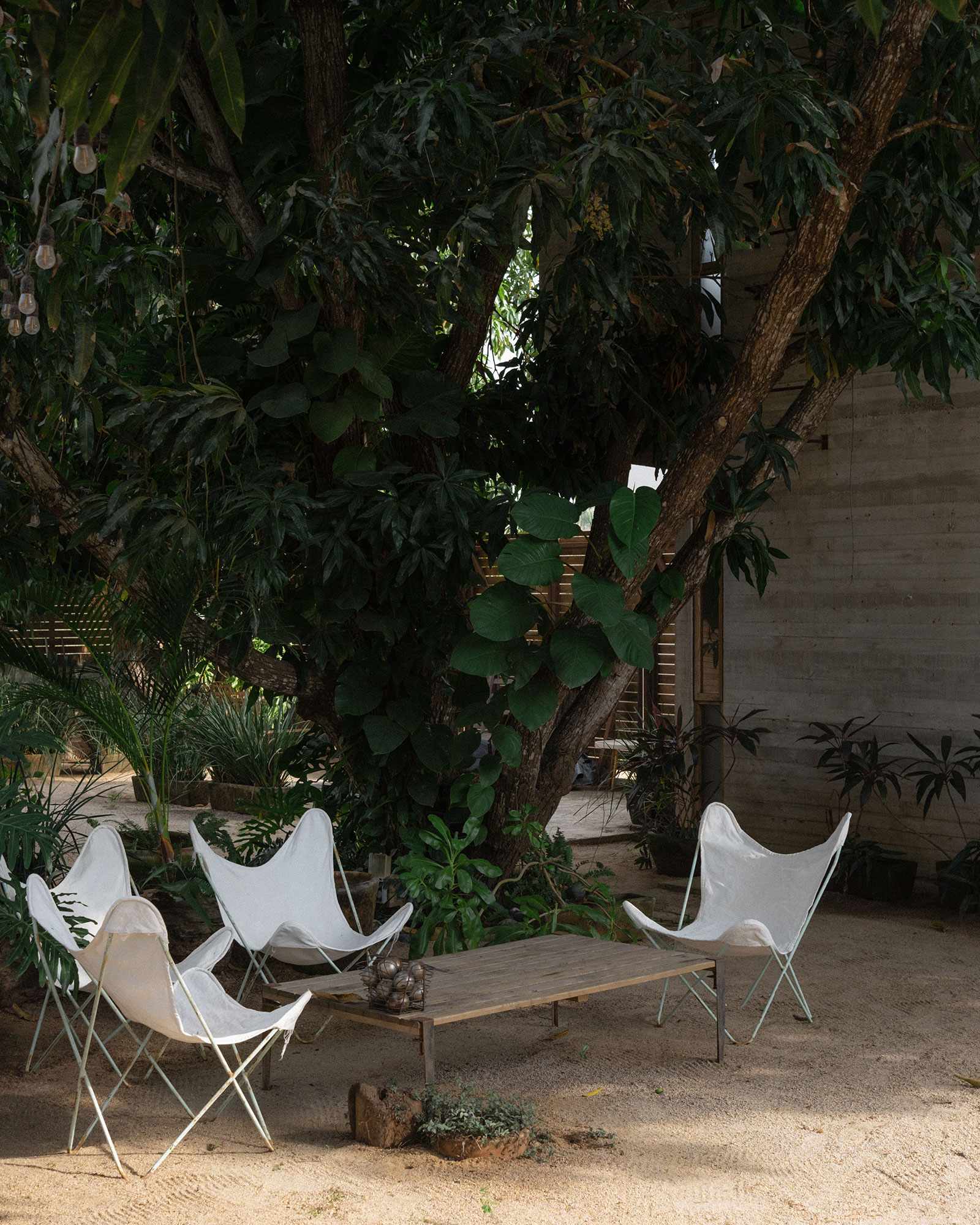 jardin avec fauteuils papillon blancs jardin avec fauteuils papillon blancs