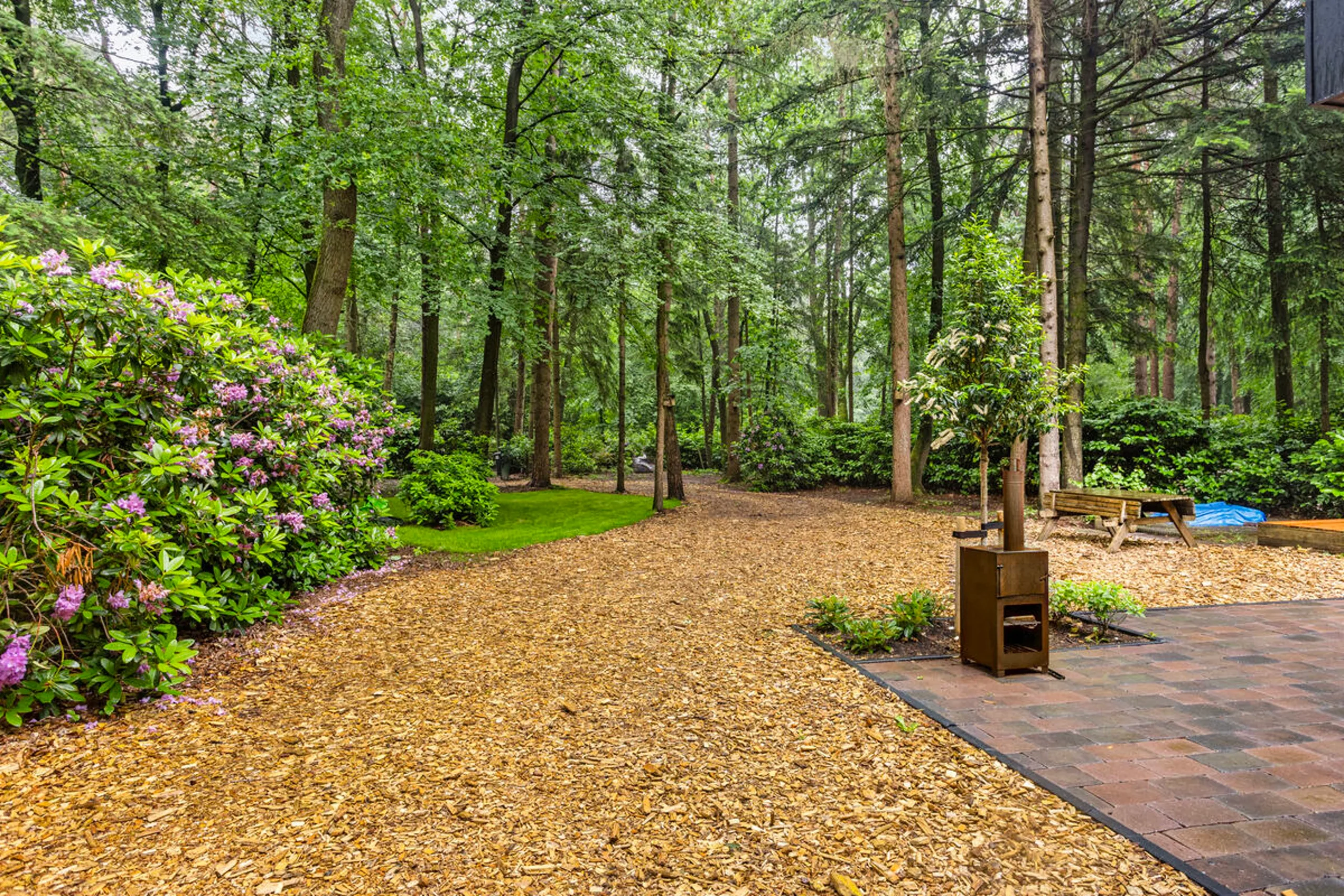 garden in the forest garden in the forest