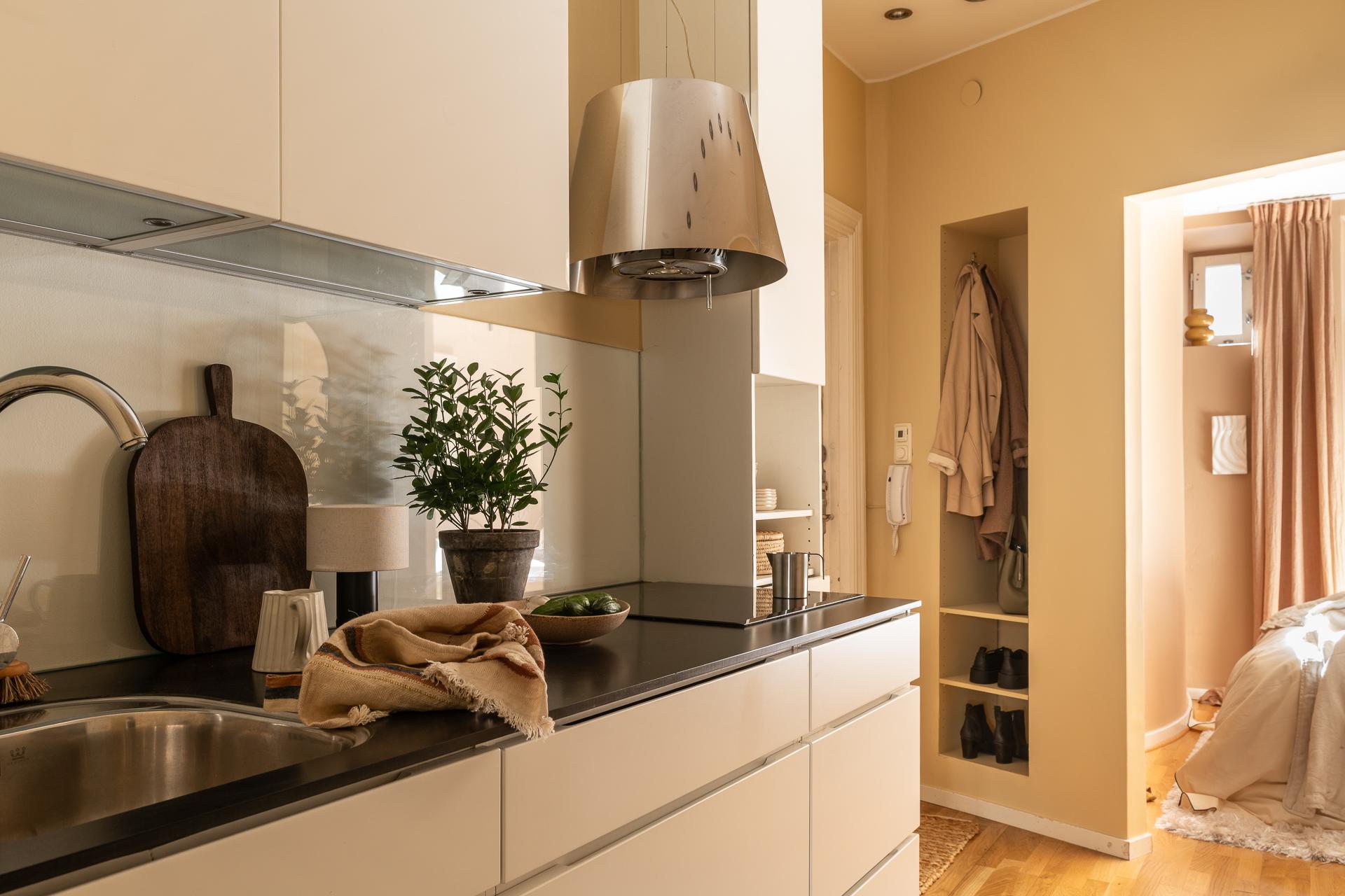 designer kitchen with walls in light brown shade scandinavian decor