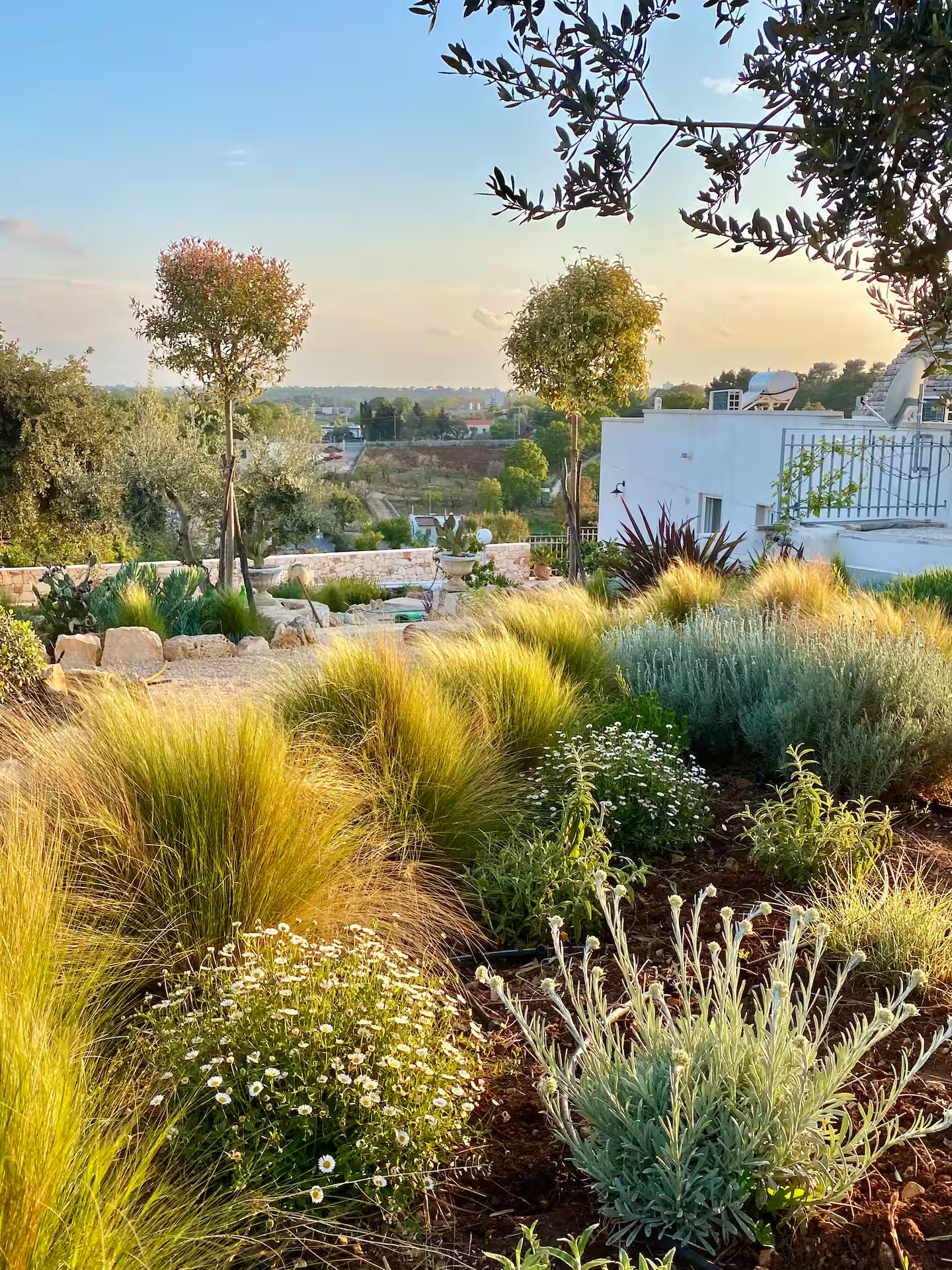 jardin en restanque trullo des Pouilles rénové Trullo Falco