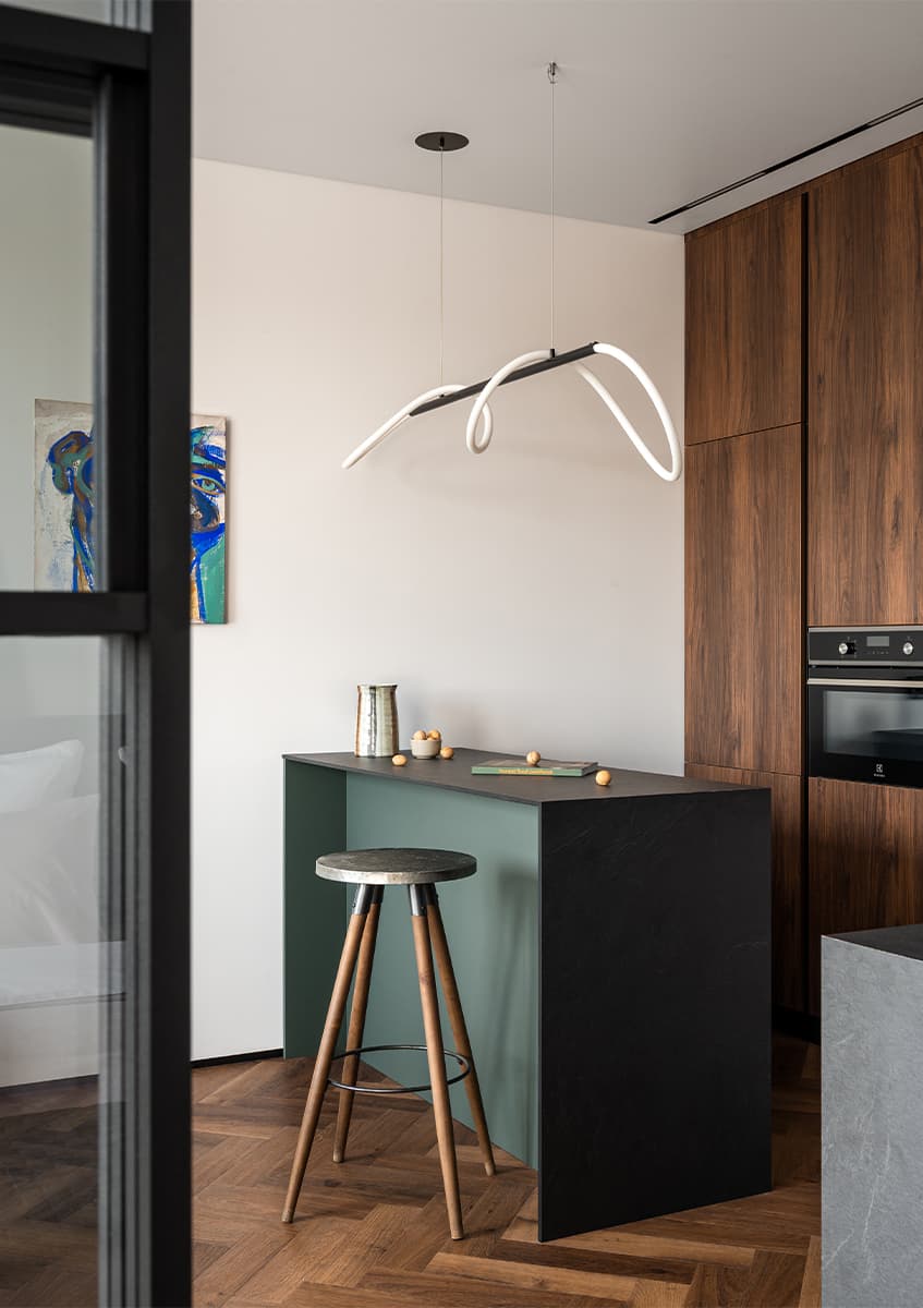 cuisine et salon décoration contemporaine petit appartement 45m2