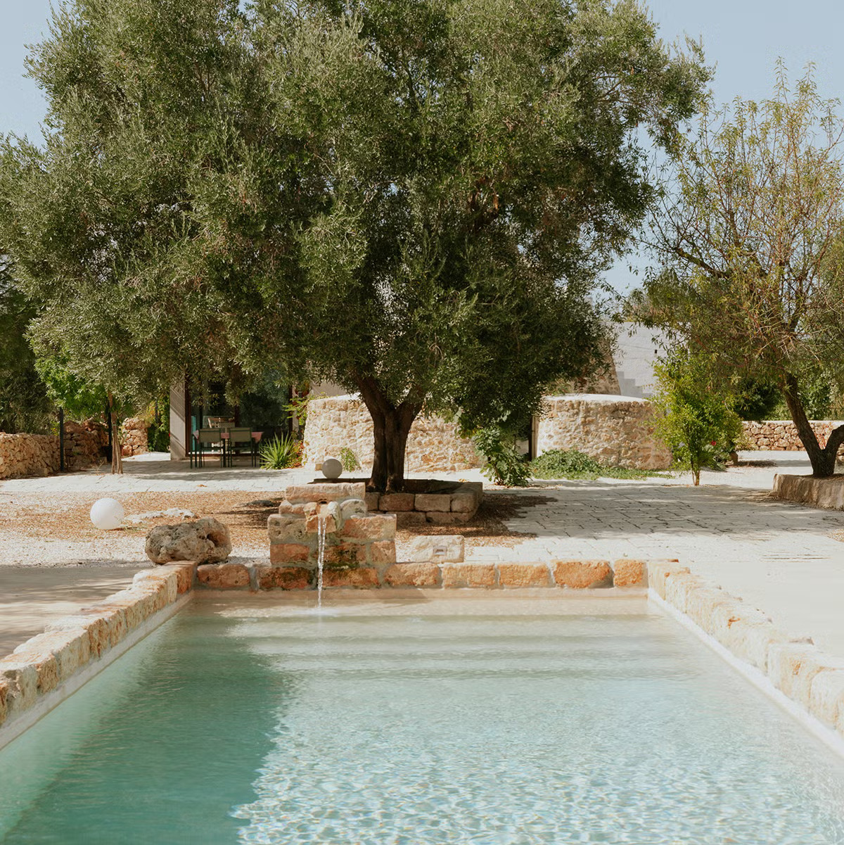 jardin avec olivier et piscine maison ancienne rénovée dans les Pouilles jardin avec olivier et piscine maison ancienne rénovée dans les Pouilles