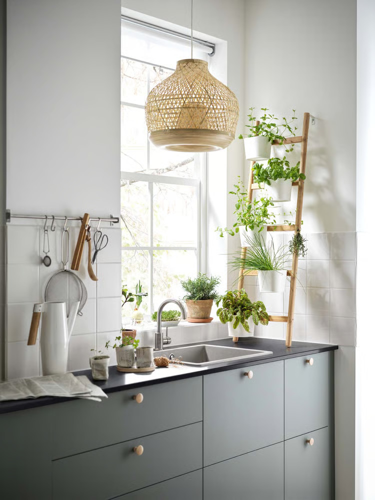 cuisine grise avec herbes aromatiques