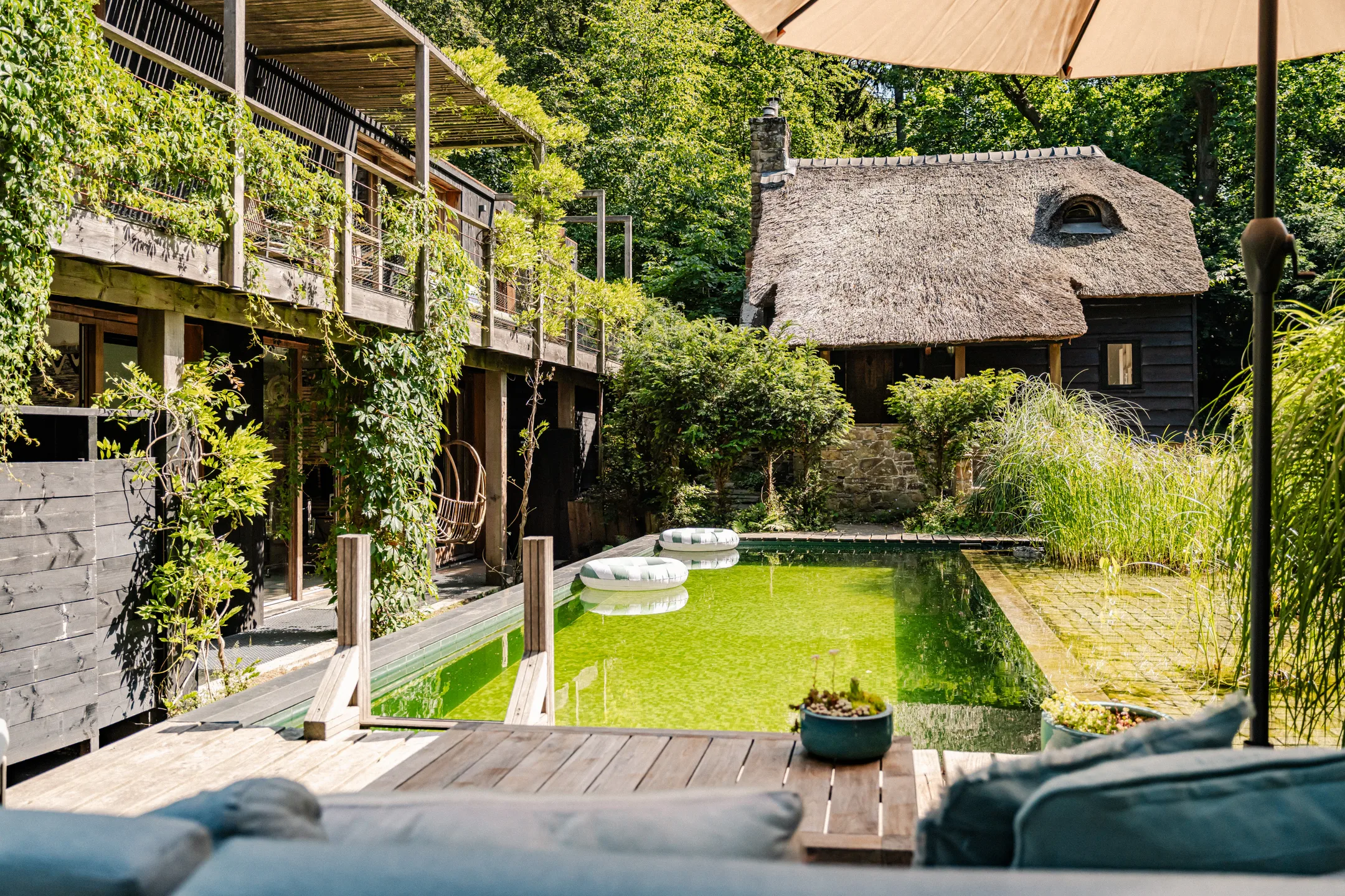 maison contemporaine en bois avec piscine écologique et naturelle maison contemporaine en bois avec piscine écologique et naturelle