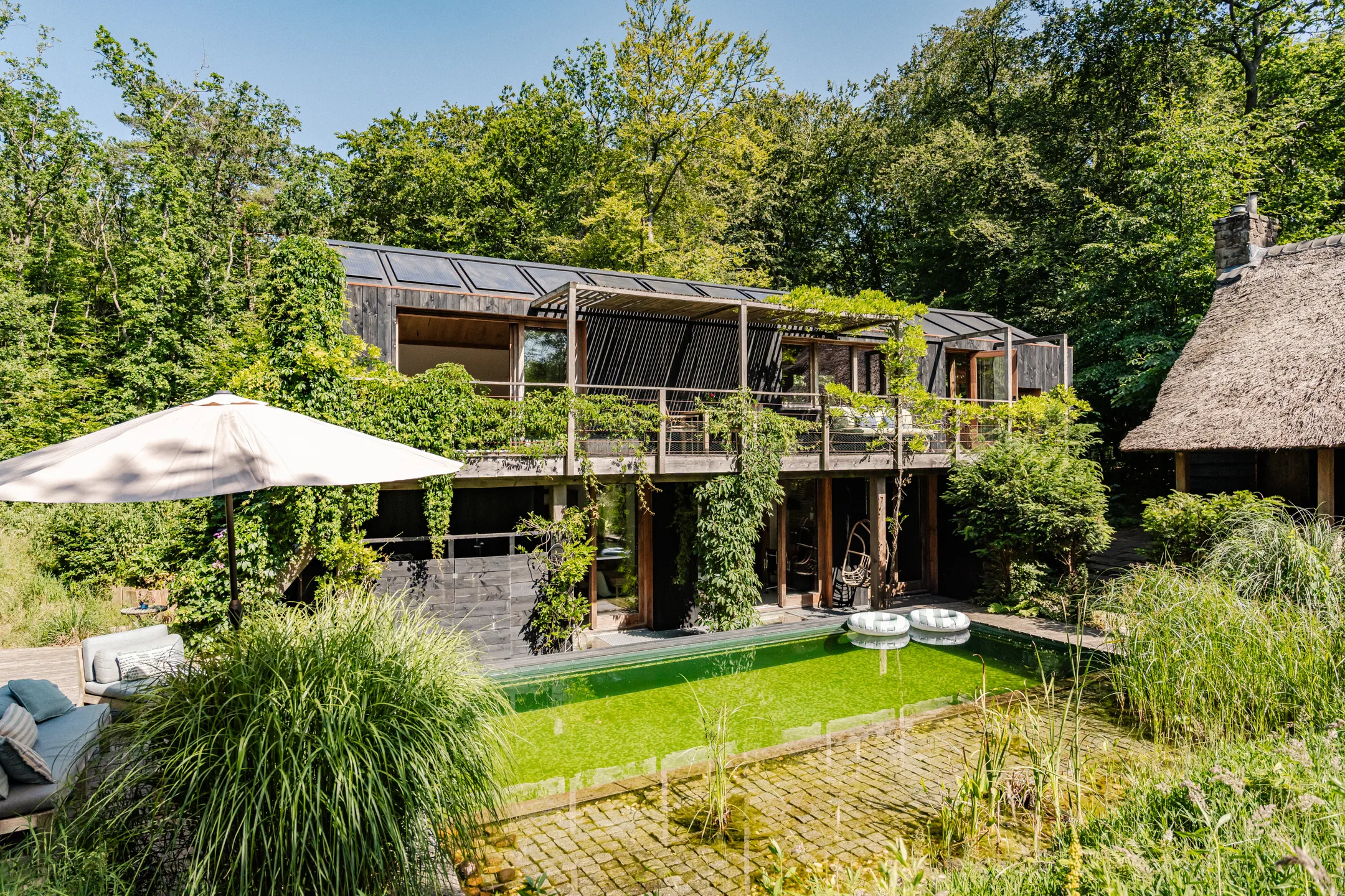ecofriendly wooden house with ecological pool contemporary decor in the Netherlands ecofriendly wooden house with ecological pool contemporary decor in the Netherlands