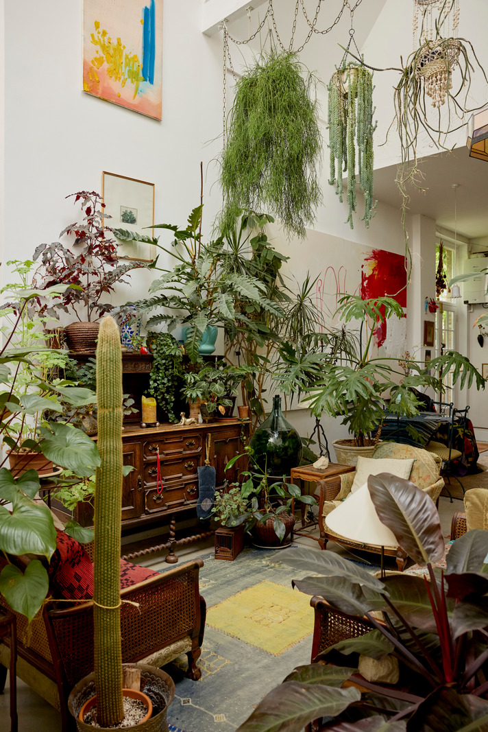 salon avec plantes vertes décoration vintage maison dans ancienne école victorienne Londres