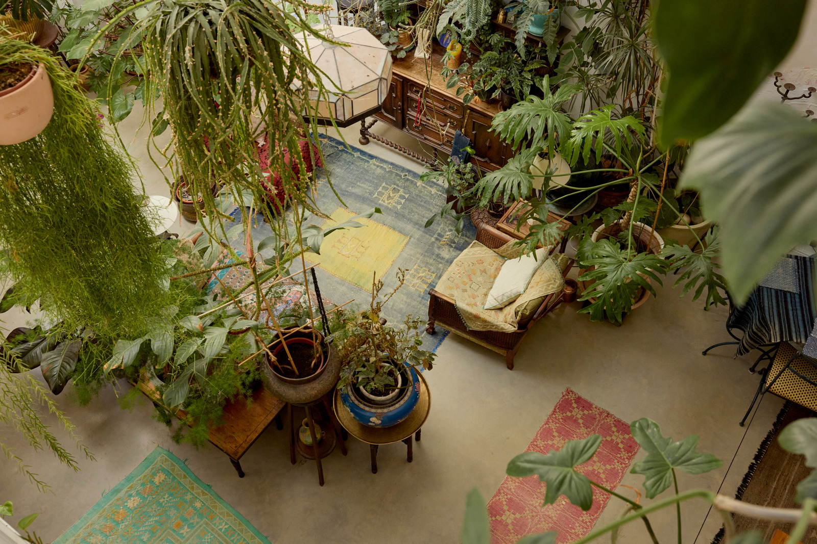 salon avec plantes décoration vintage maison dans ancienne école victorienne Londres