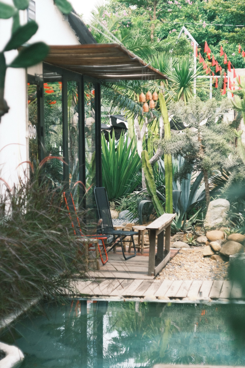 jardin exotique avec bassin