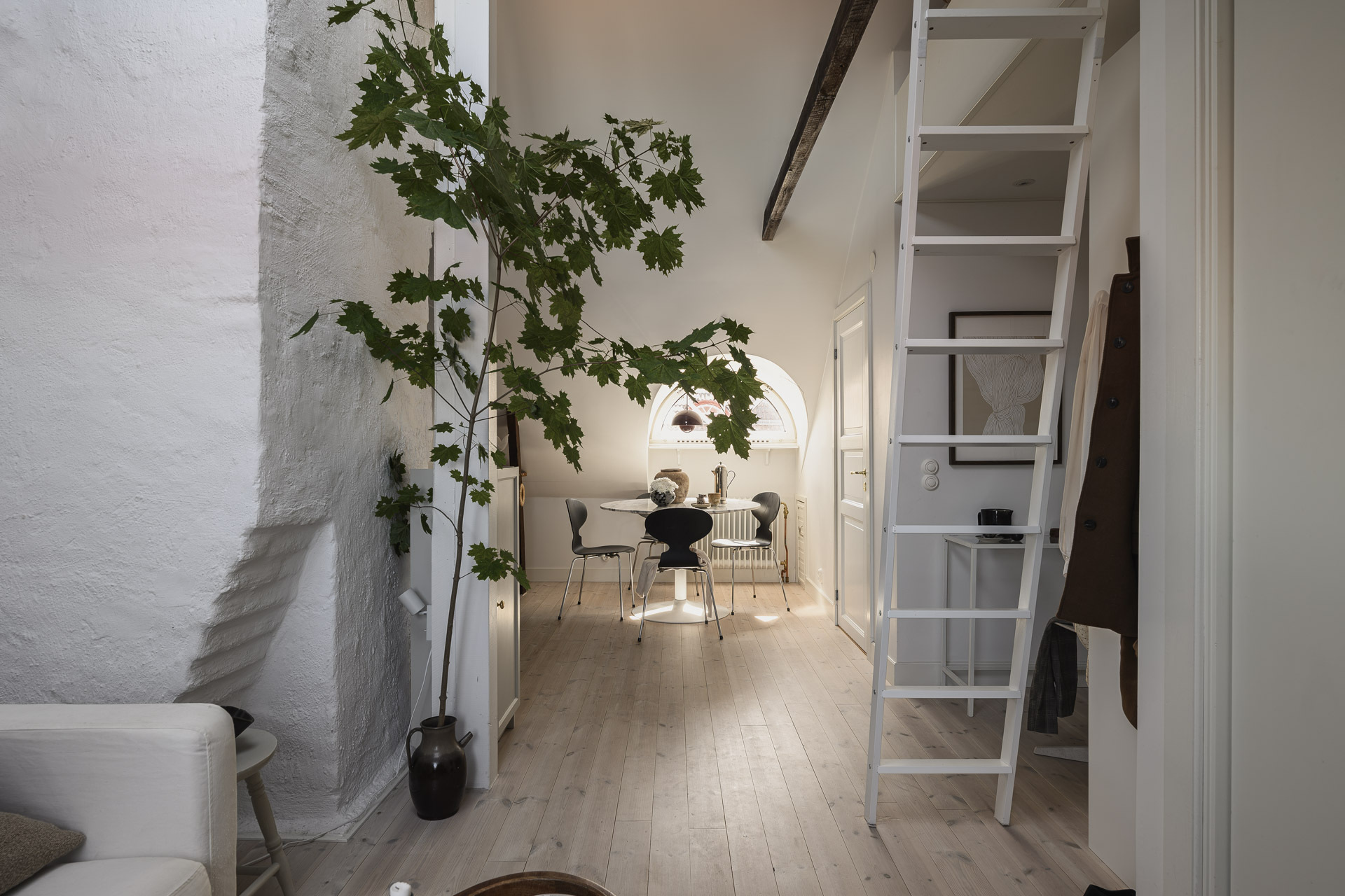 salon et cuisine décoration scandinave studio mansardé 24m2 avec mezzanine