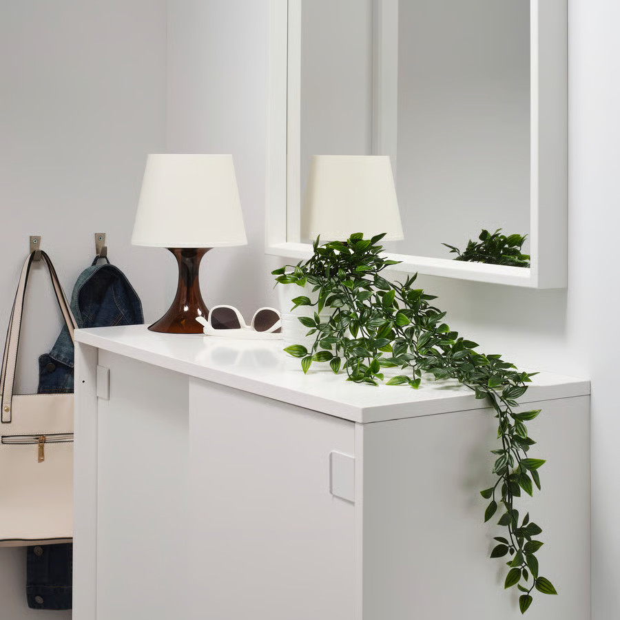 plante verte dans entrée devant miroir