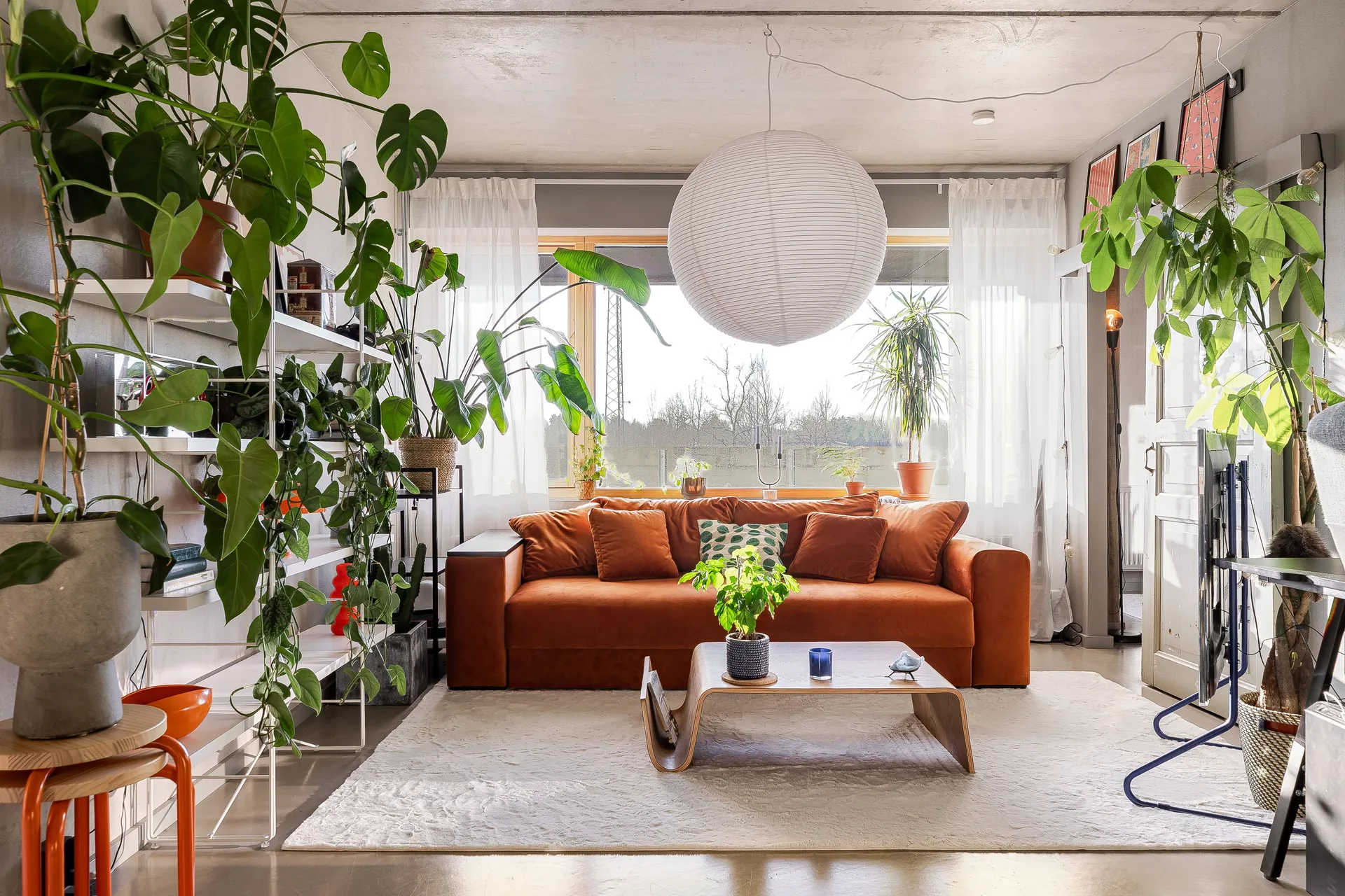 living room with orange velvet sofa and green plants concrete floor walls and ceiling 48sqm two-room apartment Scandinavian decor living room with orange velvet sofa and green plants concrete floor walls and ceiling 48sqm two-room apartment Scandinavian decor