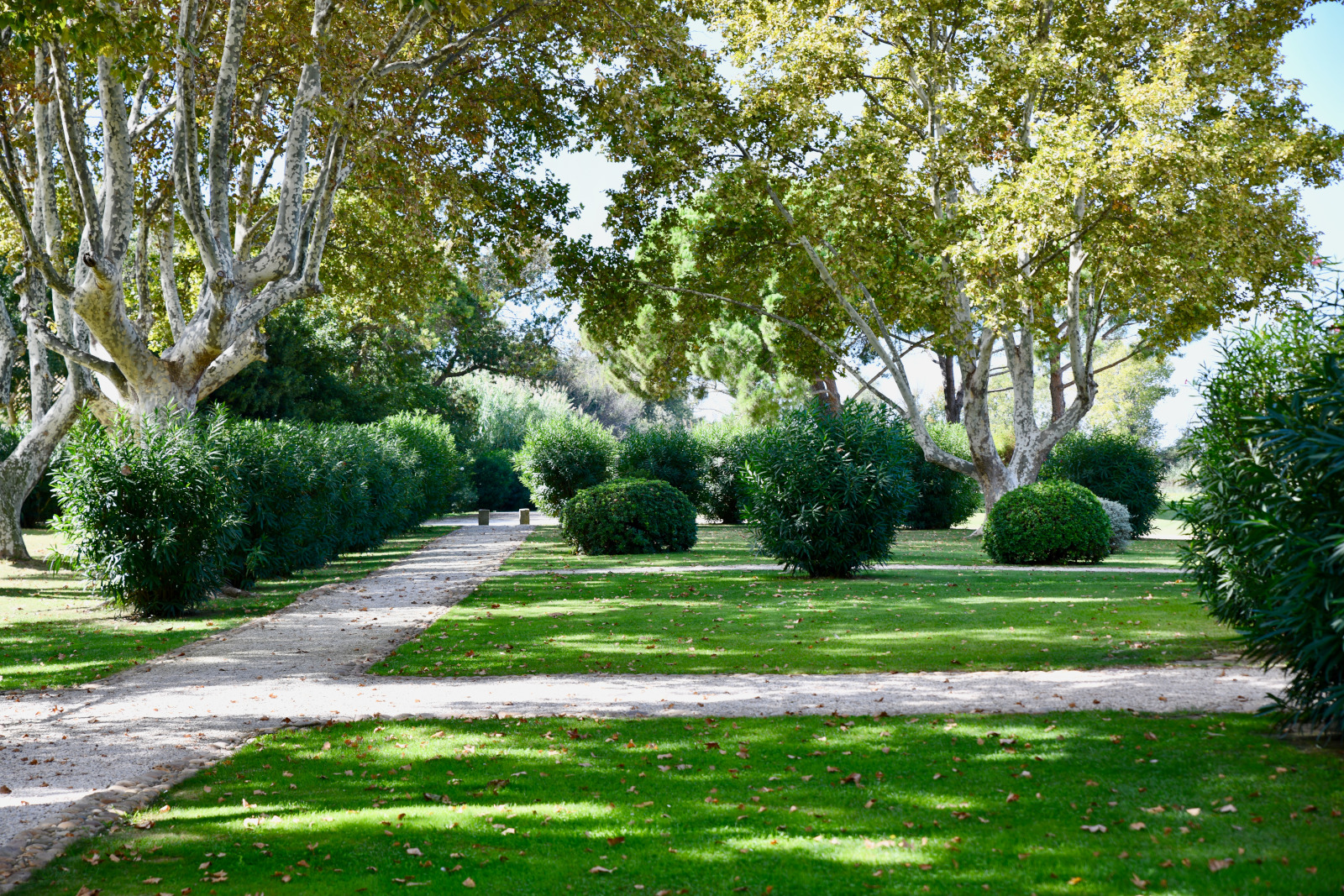 lush garden in Provence lush garden in Provence