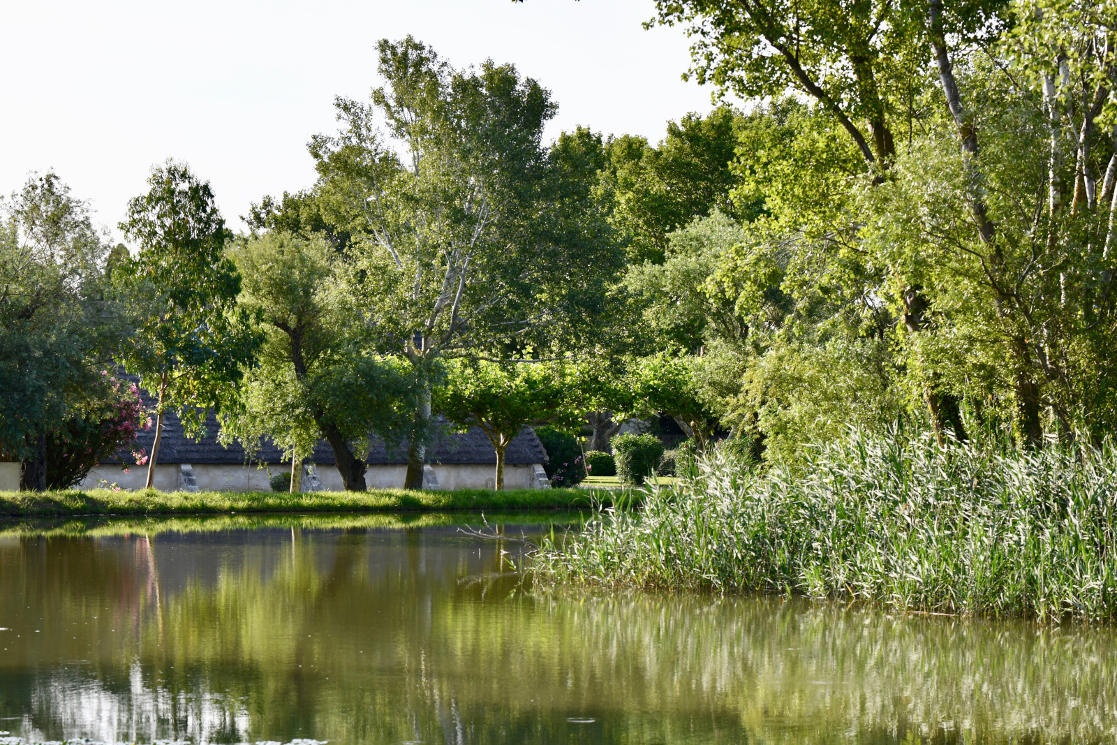 garden with pond Mas de Peint Camargue France garden with pond Mas de Peint Camargue France
