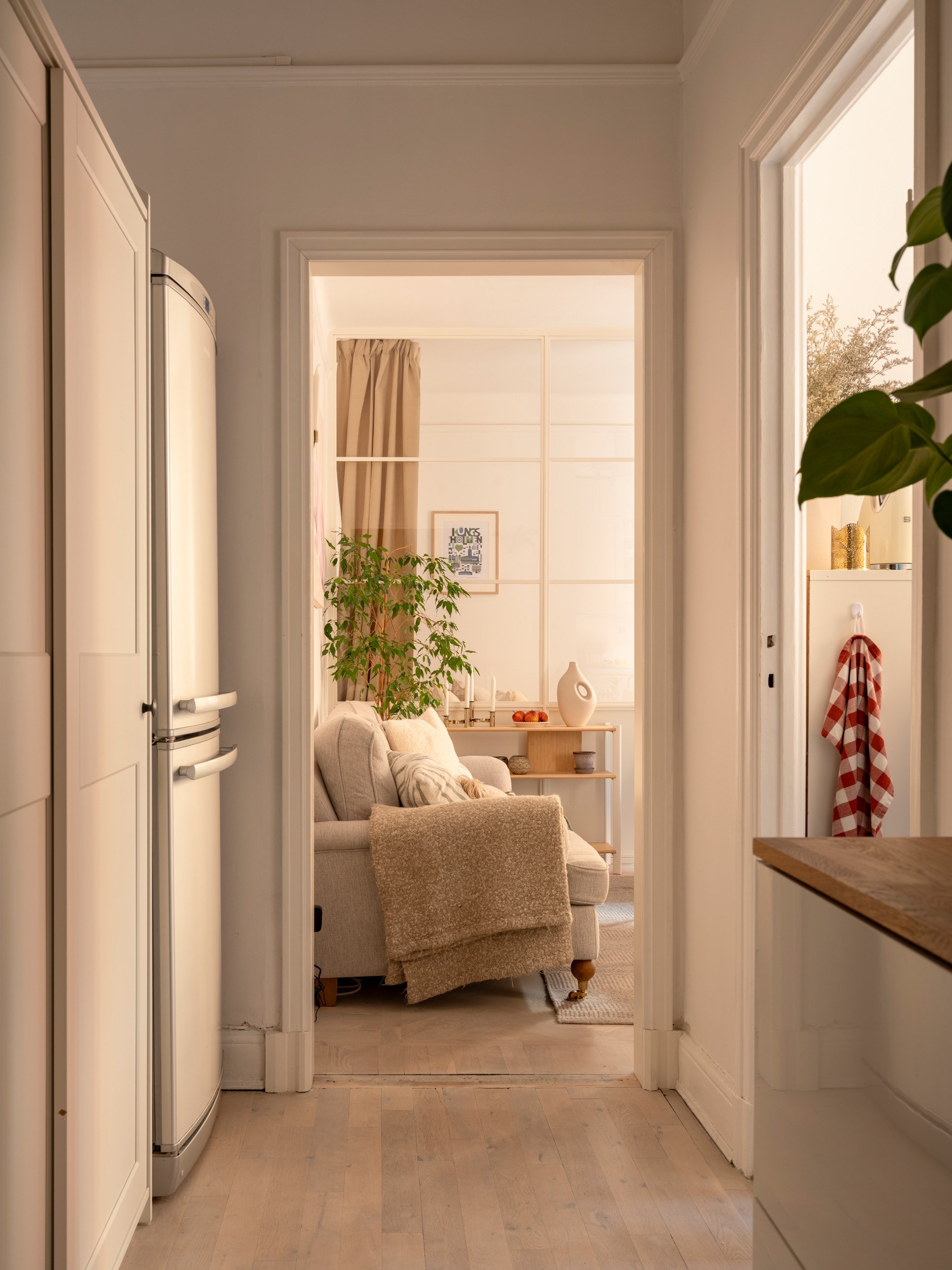 entrée et salon avec verrière blanche décoration scandinave et classique studio 37m2