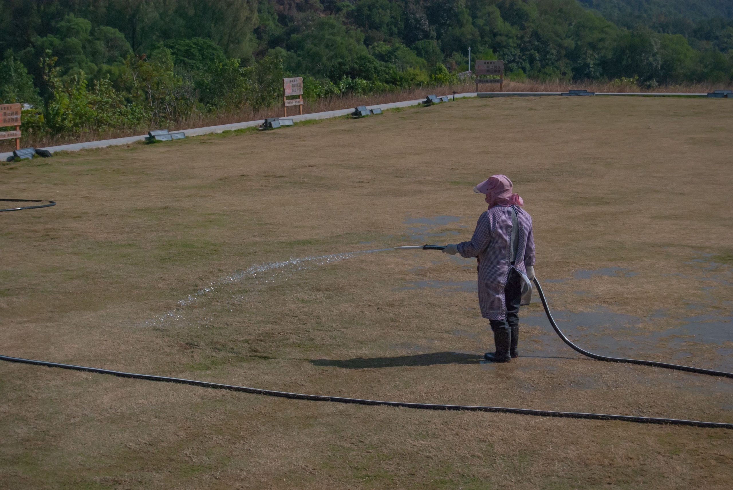 hydroseeding pour nouvelle pelouse